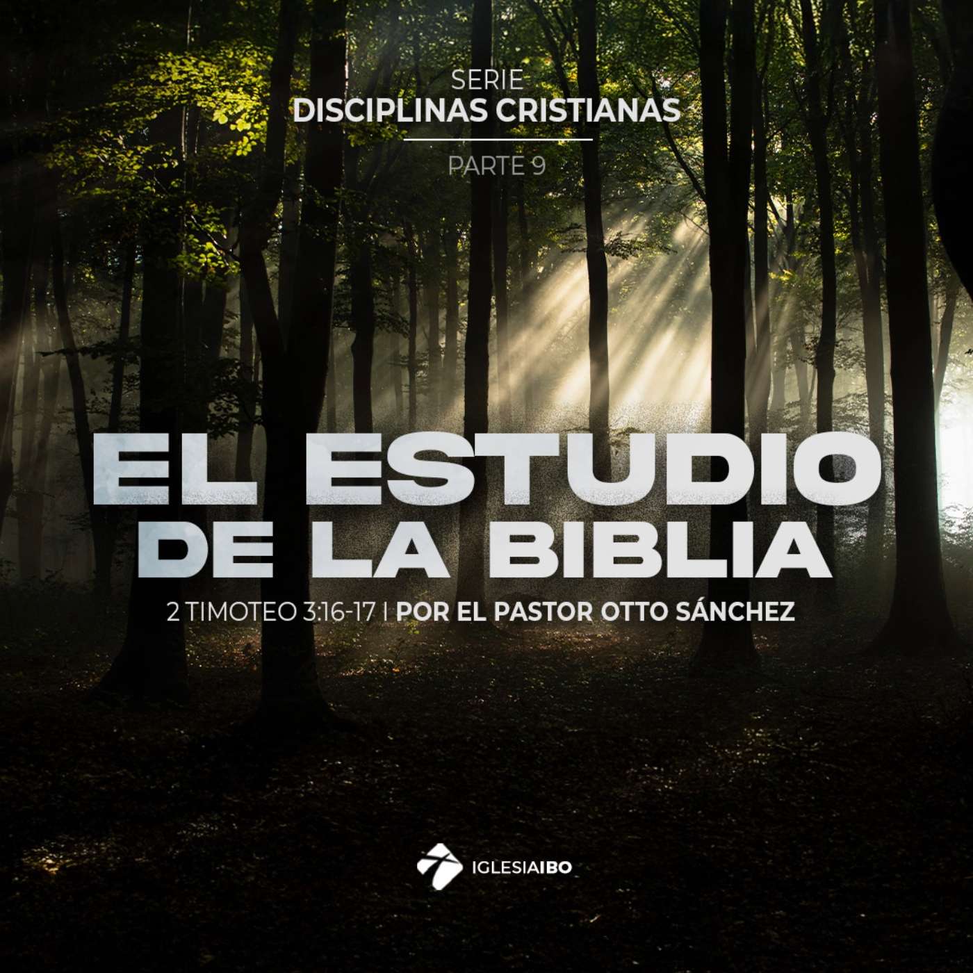 El estudio de la Biblia | Disciplinas Cristianas - Parte 9