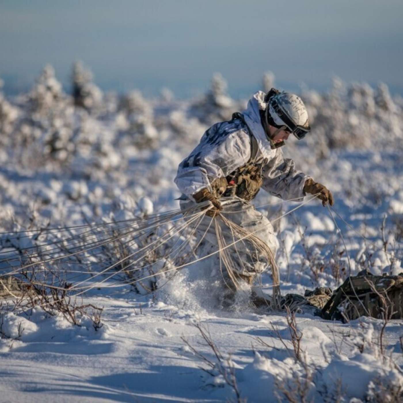Трансарктический десант: с Аляски на север Норвегии через Северный полюс
