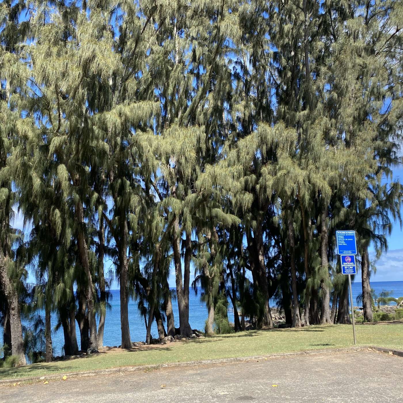 Proverbs & One-Liners #4: Sharp Truths, Hard Lessons & Timeless Street Wisdom