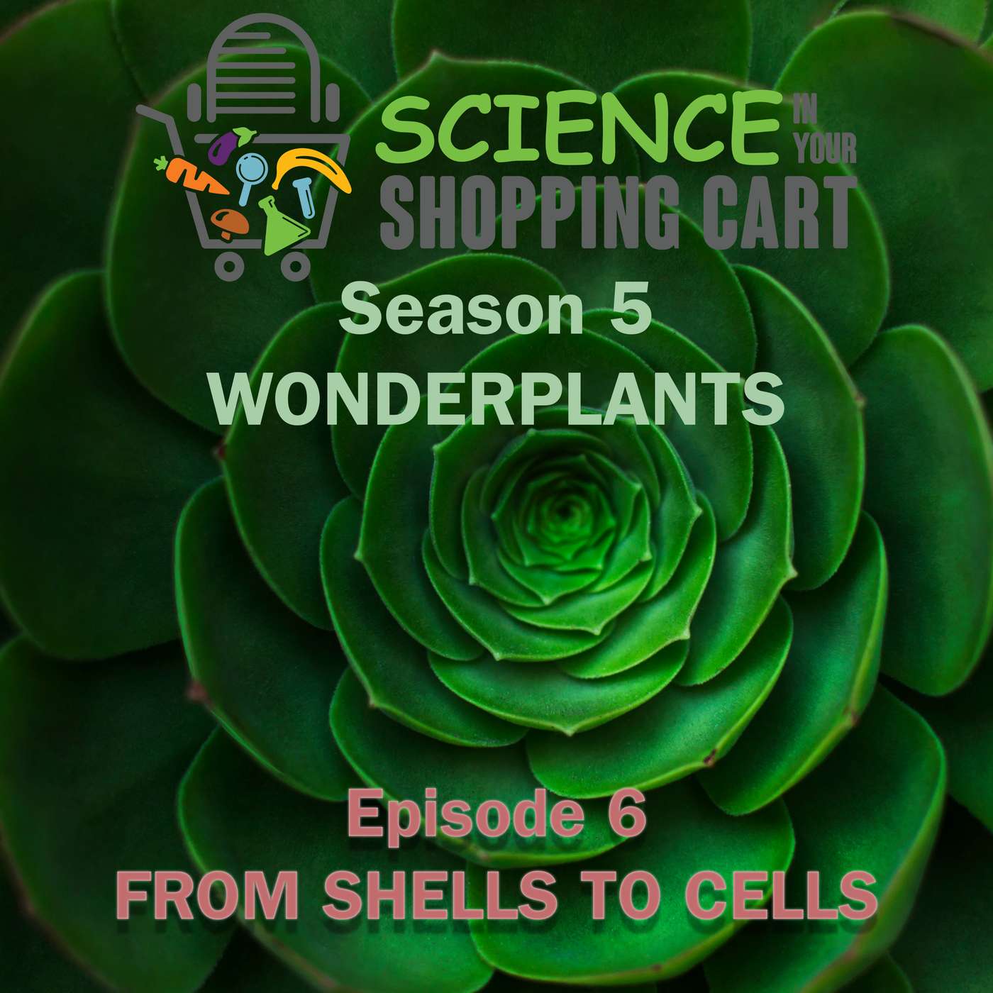 Science In Your Shopping Cart