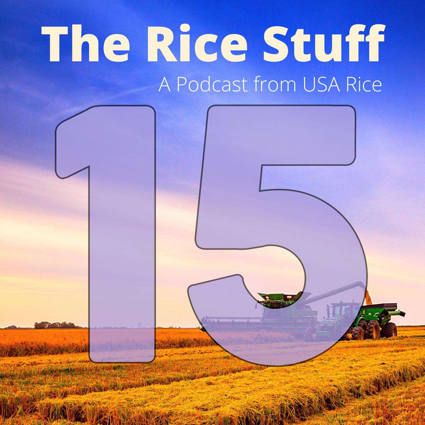 The Rice Stuff