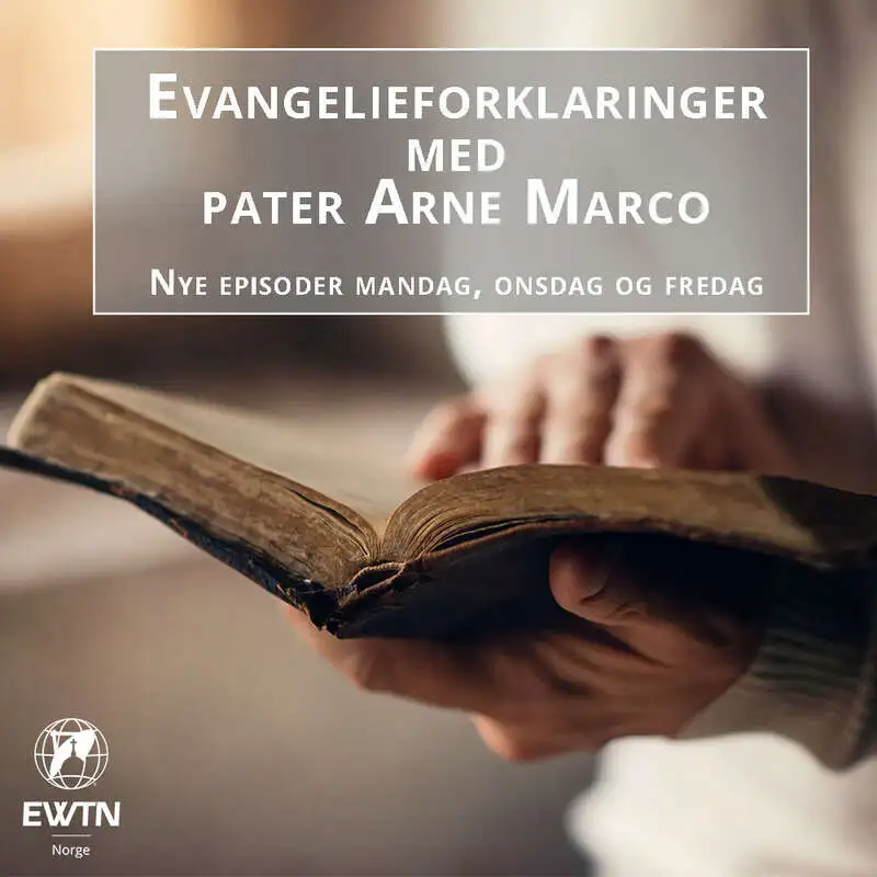 Evangelieforklaringer | Jomfru Marias gjesting hos Elisabeth