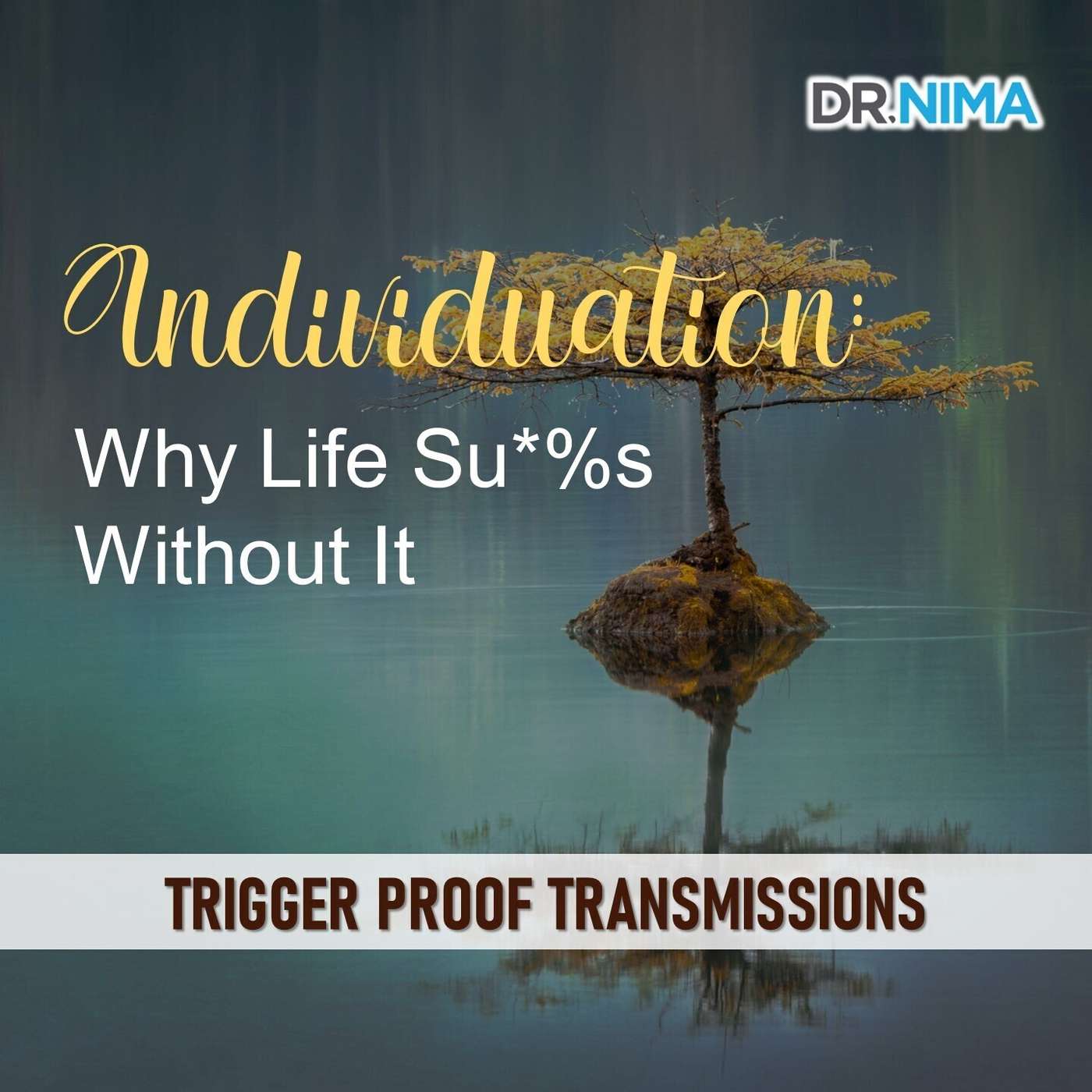 Individuation: Why Life Su*%s Without It episode artwork