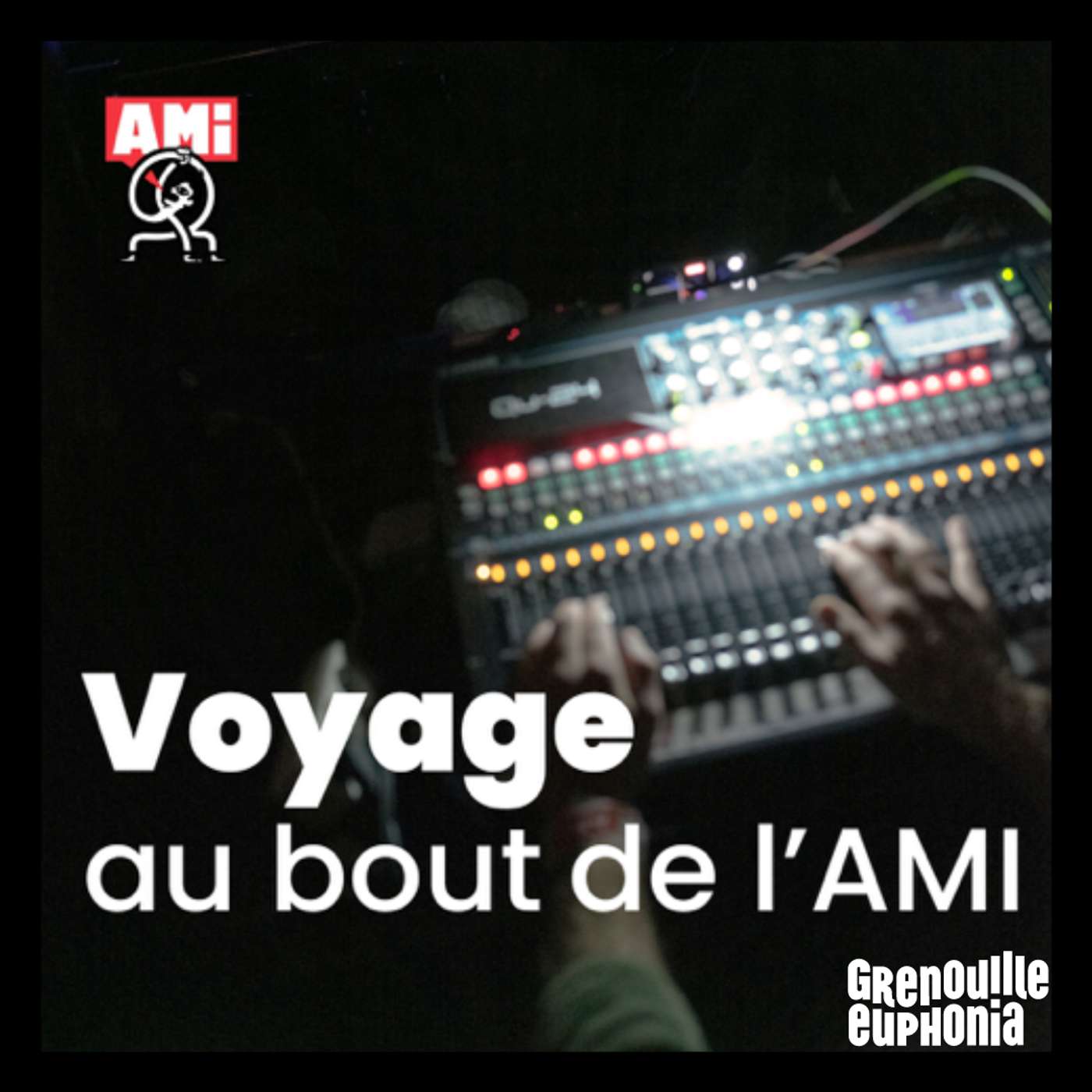 Voyage au bout de l'AMI