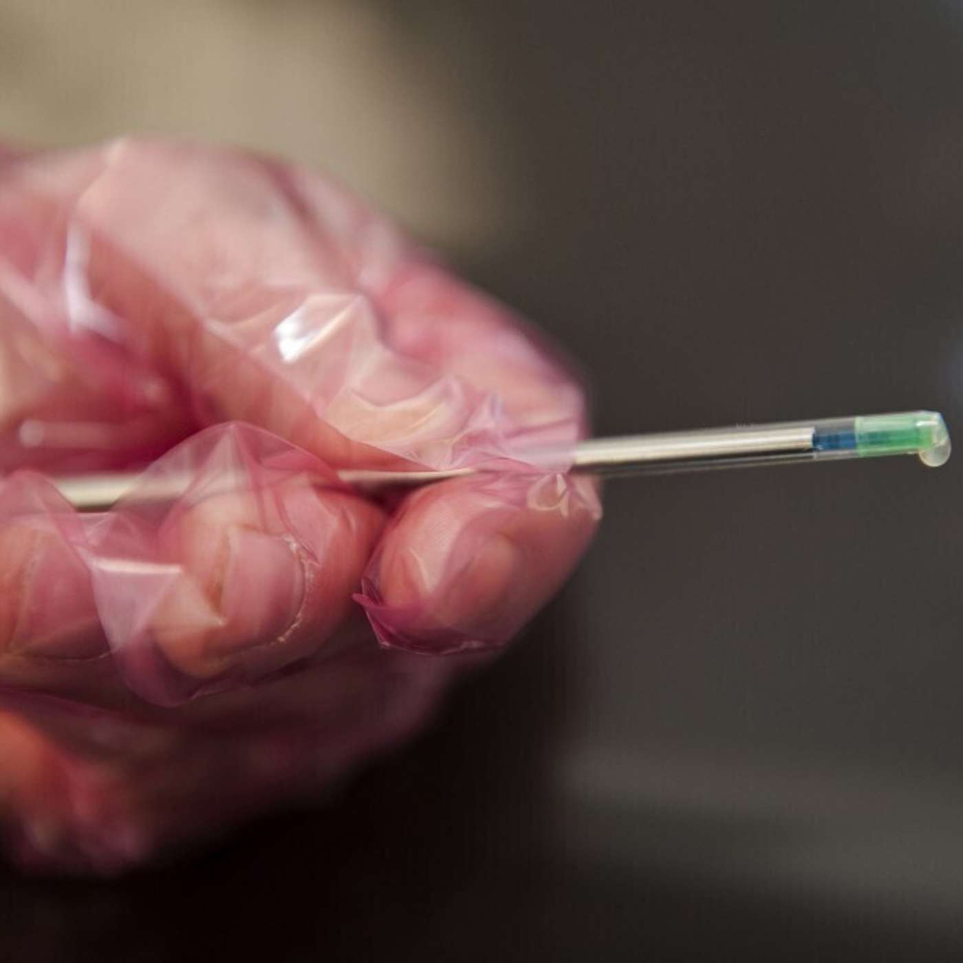 Achieving high conception rates using sexed semen