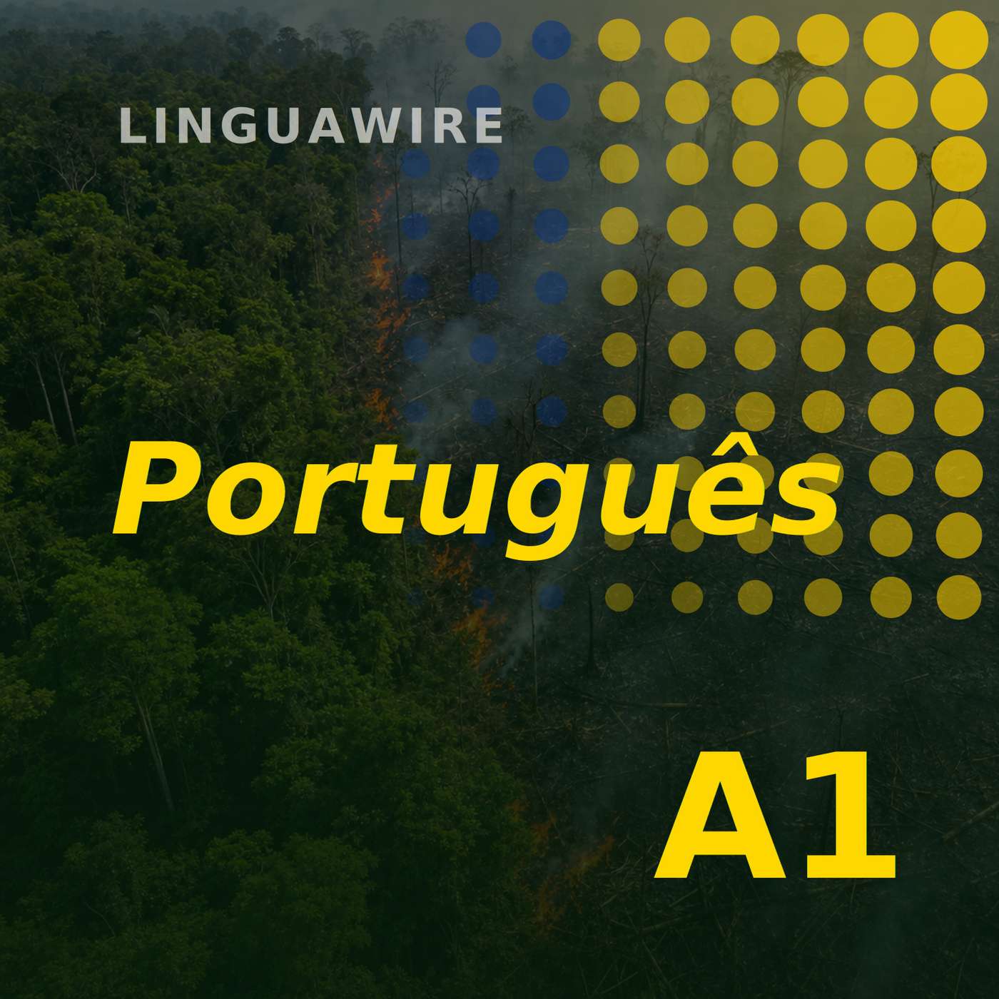 A1 Brazilian Portuguese News | Brazil's Amazon Burns Far Less in 2025