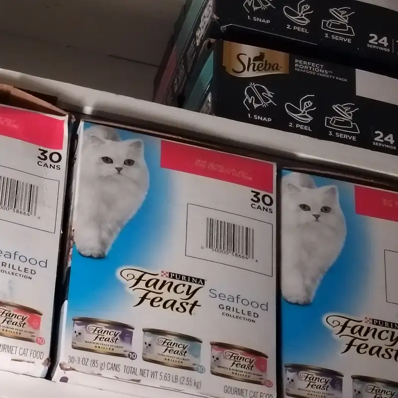 ASMR Whispering: A Rattle, Some Water, and a Cat's Meal