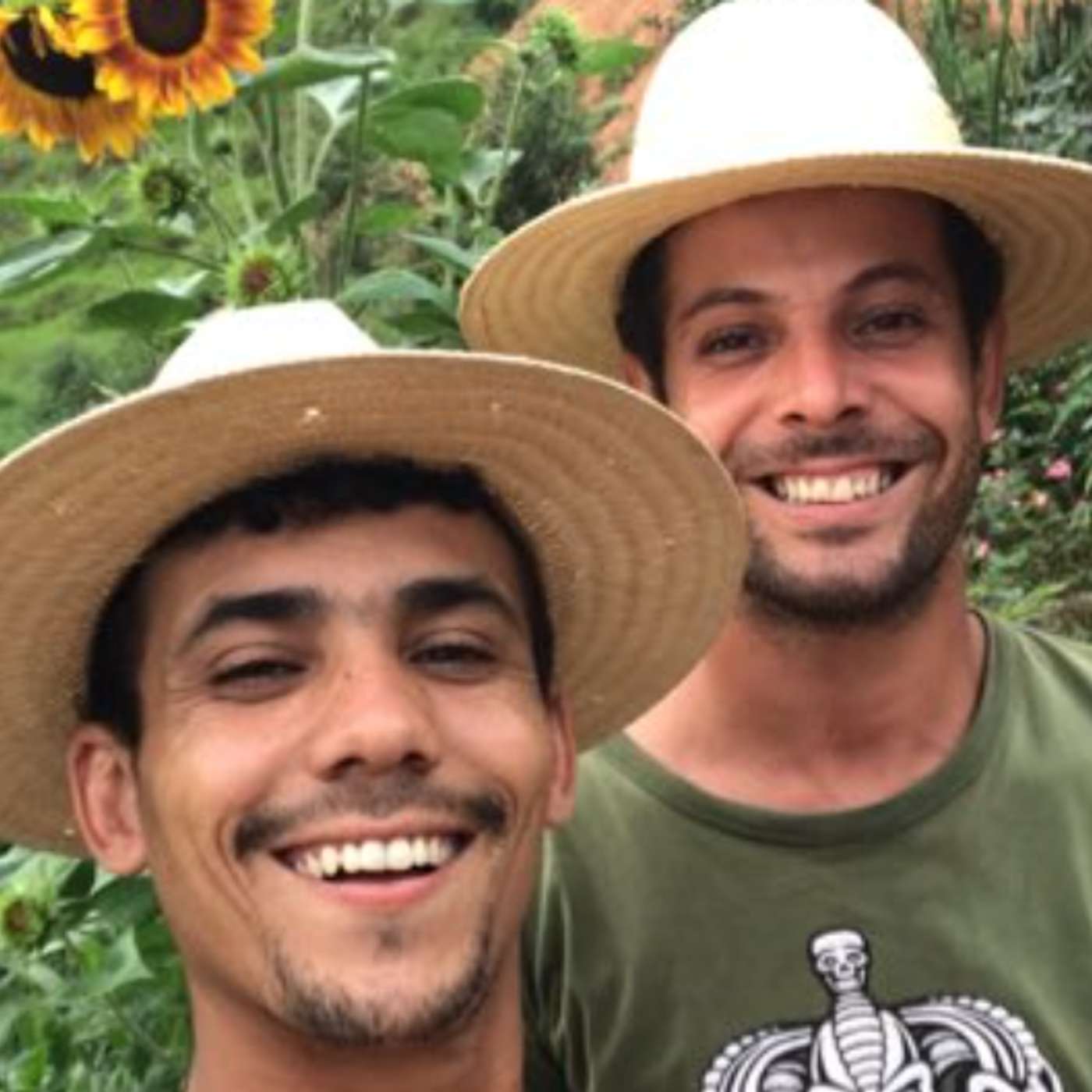 A nova safra do agro episode artwork