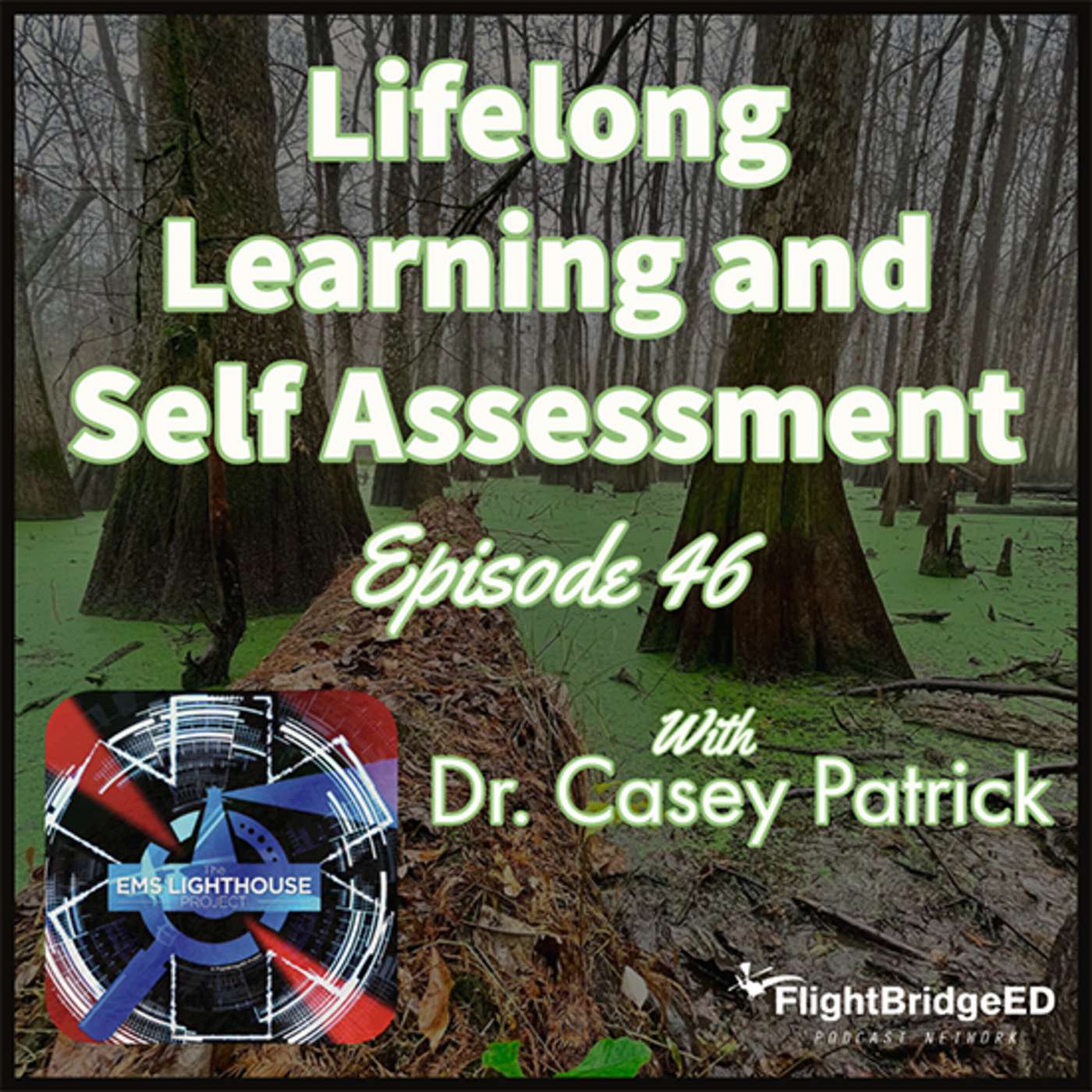 Episode 46: 2020 EMS LLSA Review with Dr. Casey Patrick episode artwork