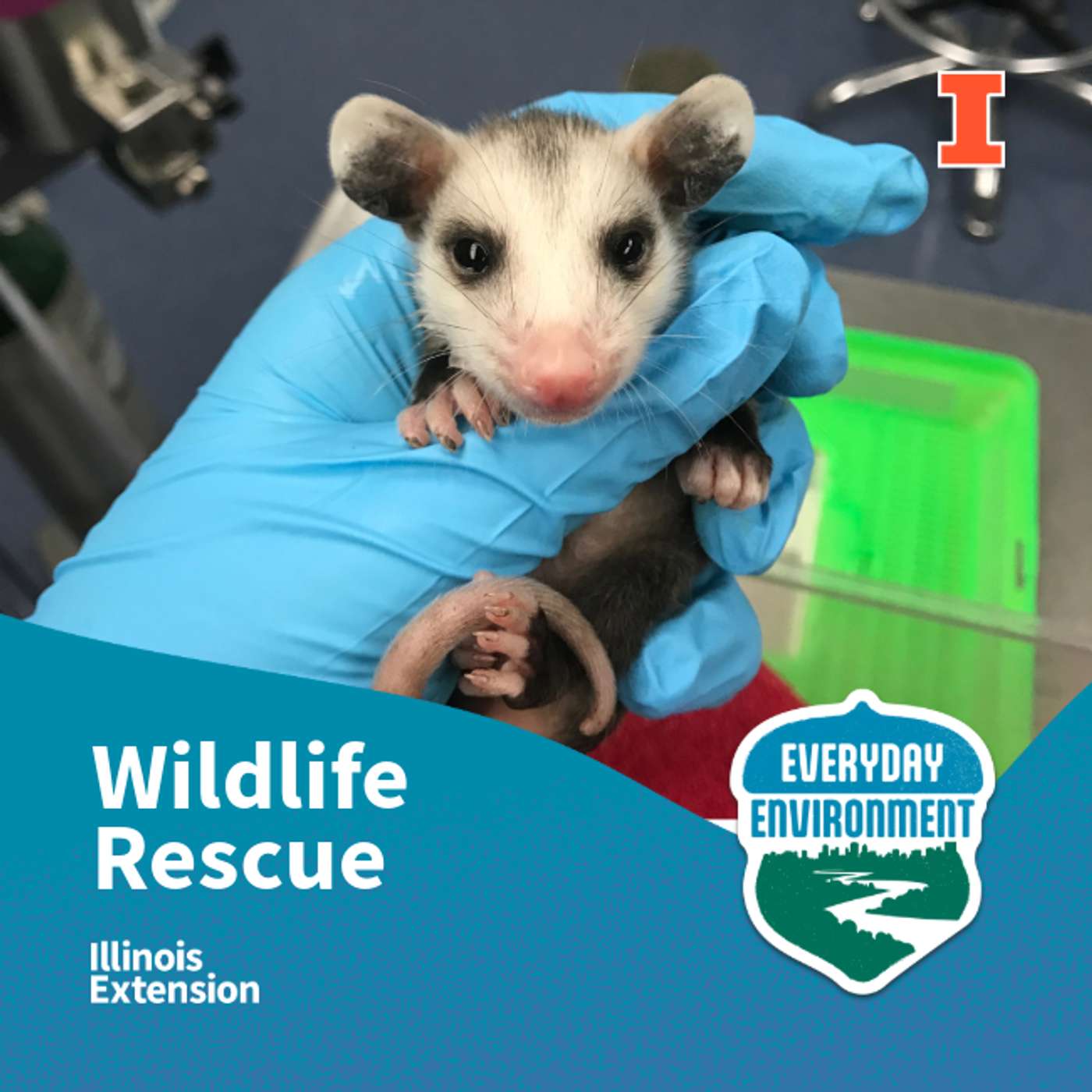 Everyday Environment Podcast