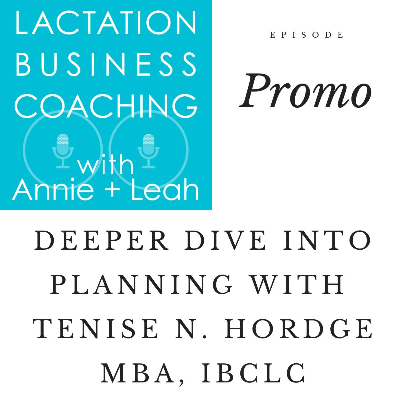 Lactation Business Coaching with Annie and Leah