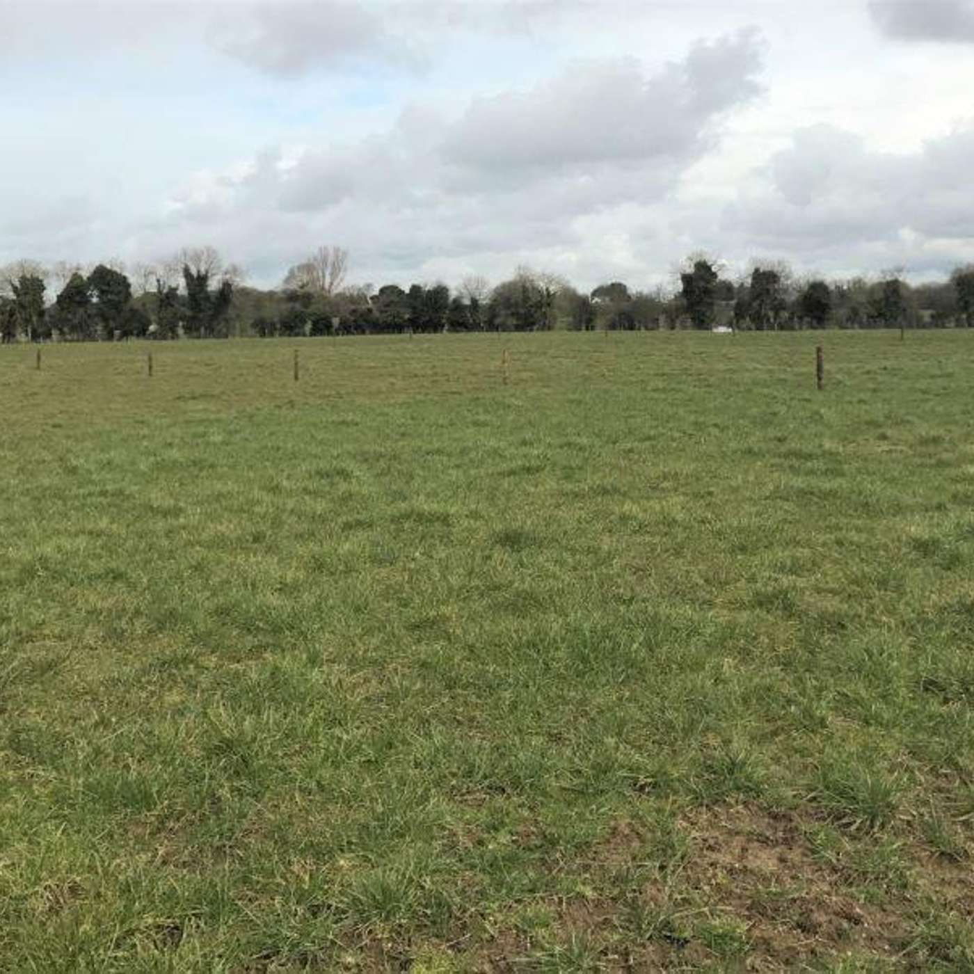 Mid-Season Grassland Management