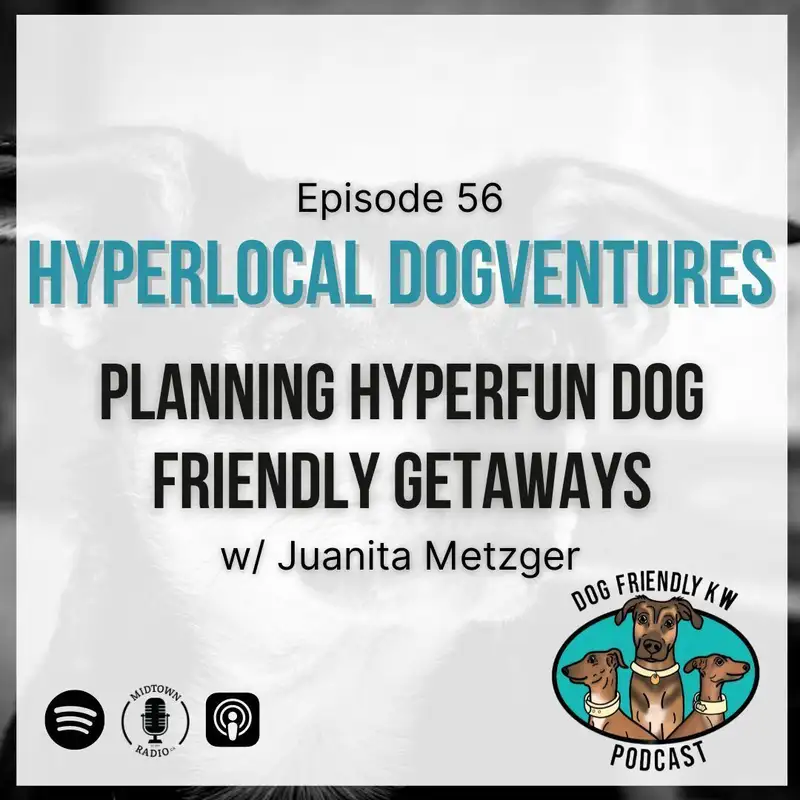 Juanita Metzger defines HYPERLOCAL TRAVEL and Explains How We Can Practice It