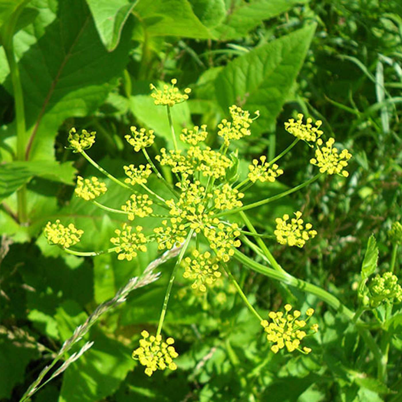 NSS Daily Headlines: April 28, 2026