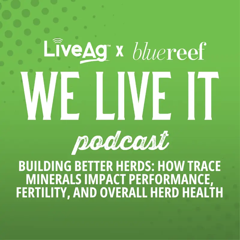 Building Better Herds | How Trace Minerals Impact Performance, Fertility, and Overall Herd Health
