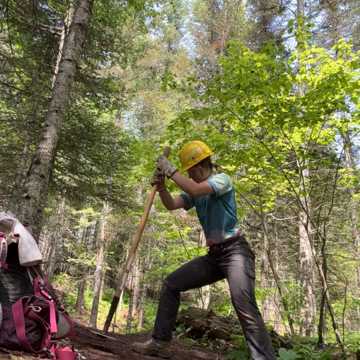 Episode 3: Volunteers, and Finding Your Inner Wild episode artwork