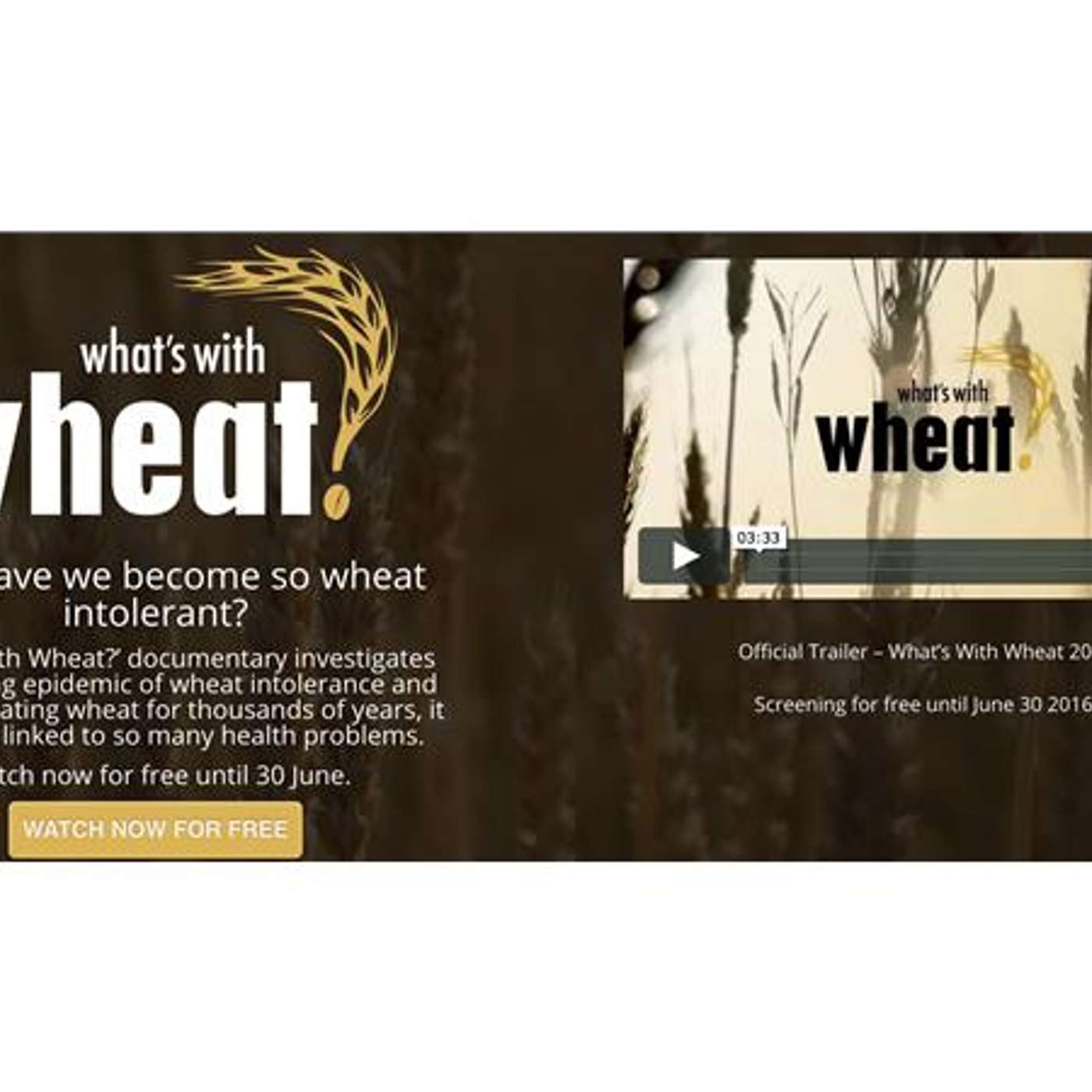 Why are so many people Gluten Sensitive? (How Today's Wheat Impacts our Health) episode artwork