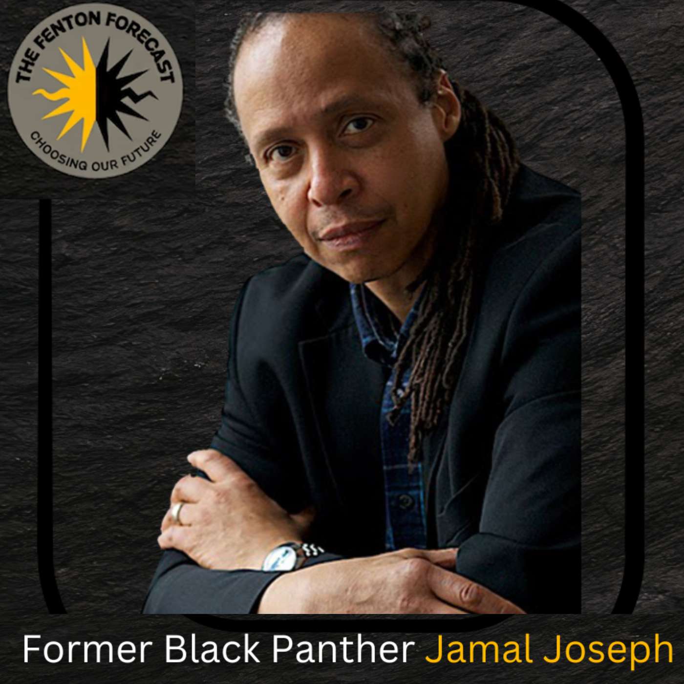From Panther Baby to Professor: Jamal Joseph on Activism & Lessons from the Black Panther Party episode artwork