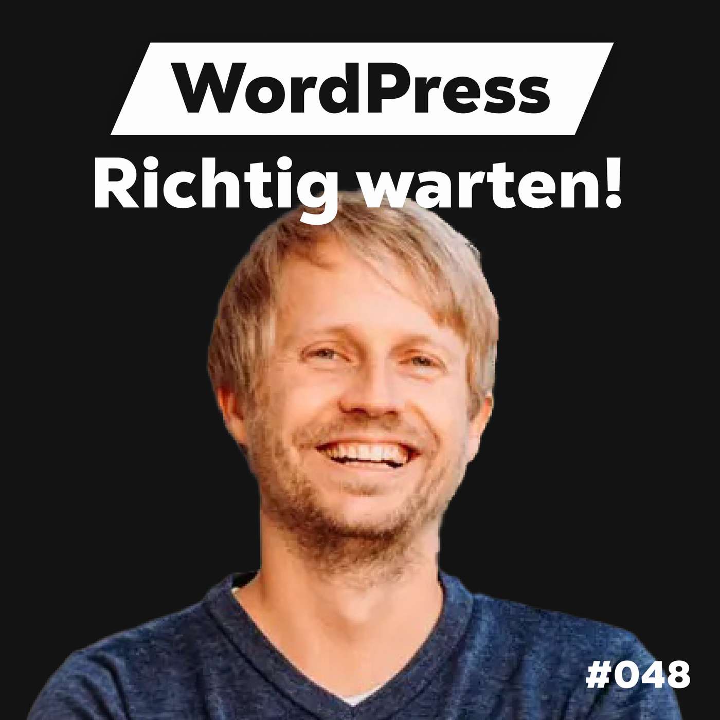Die Dominik Liss Show (WordPress & Business Talks)