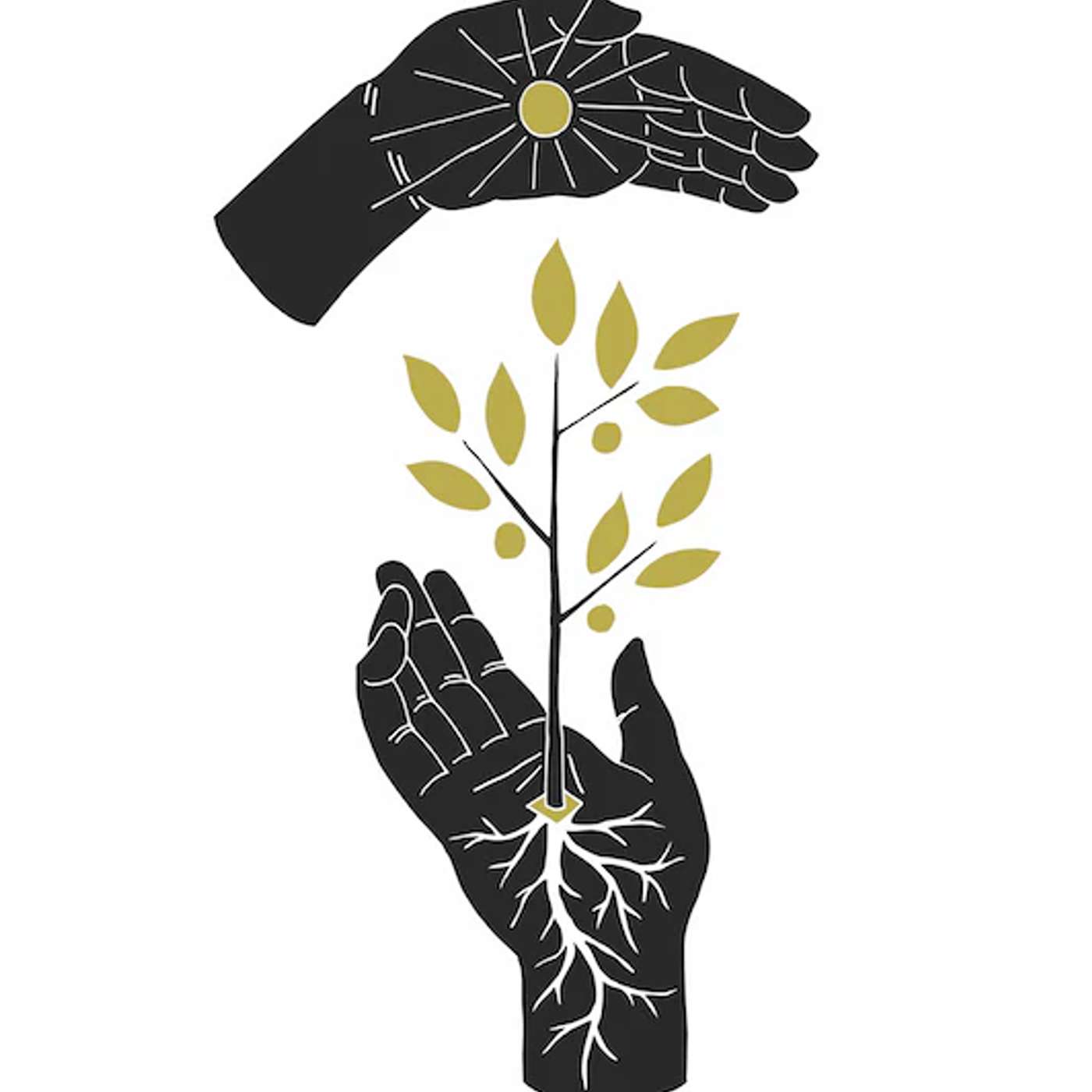 Christ The King Anglican Church