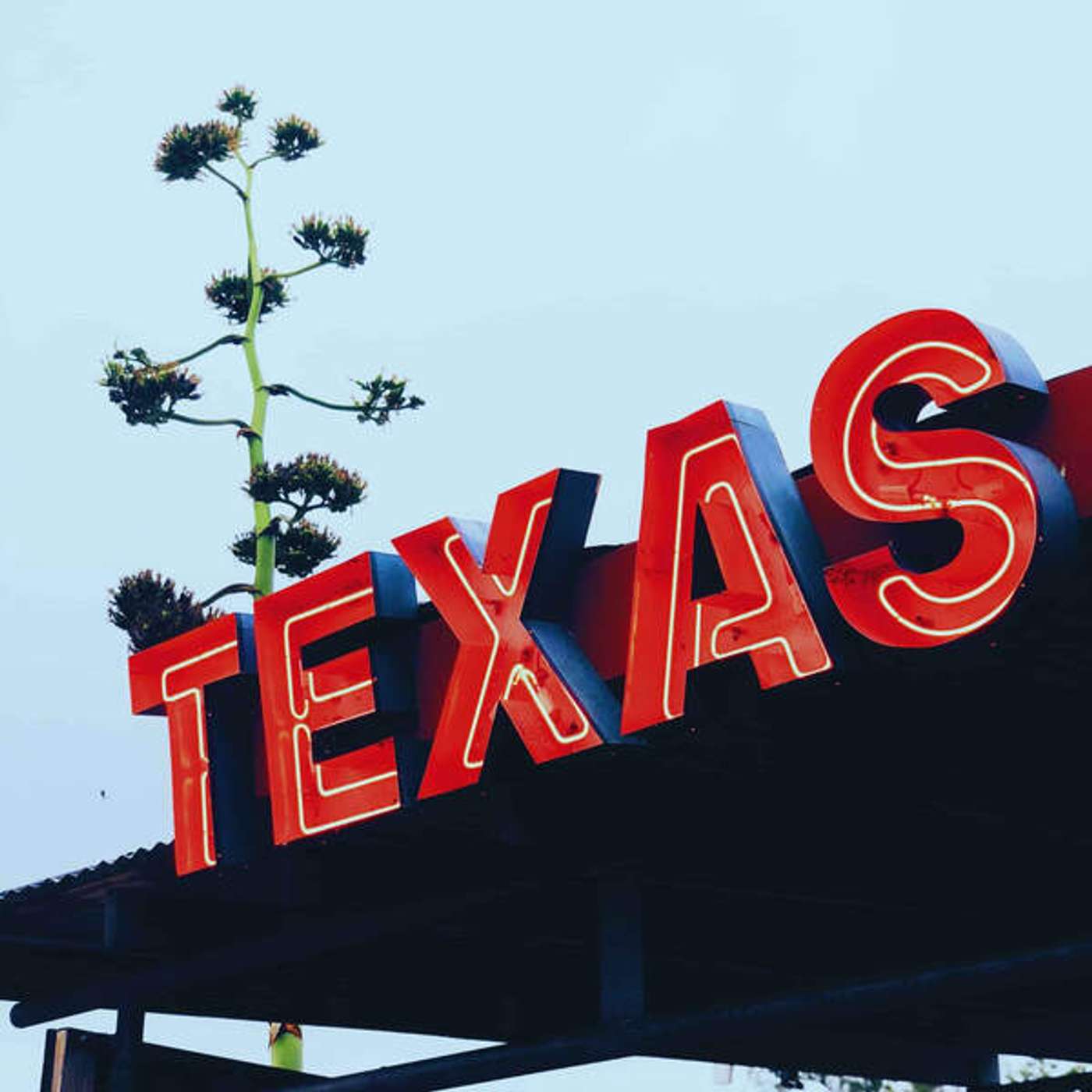 Tudo o que você precisa saber sobre o Texas! episode artwork