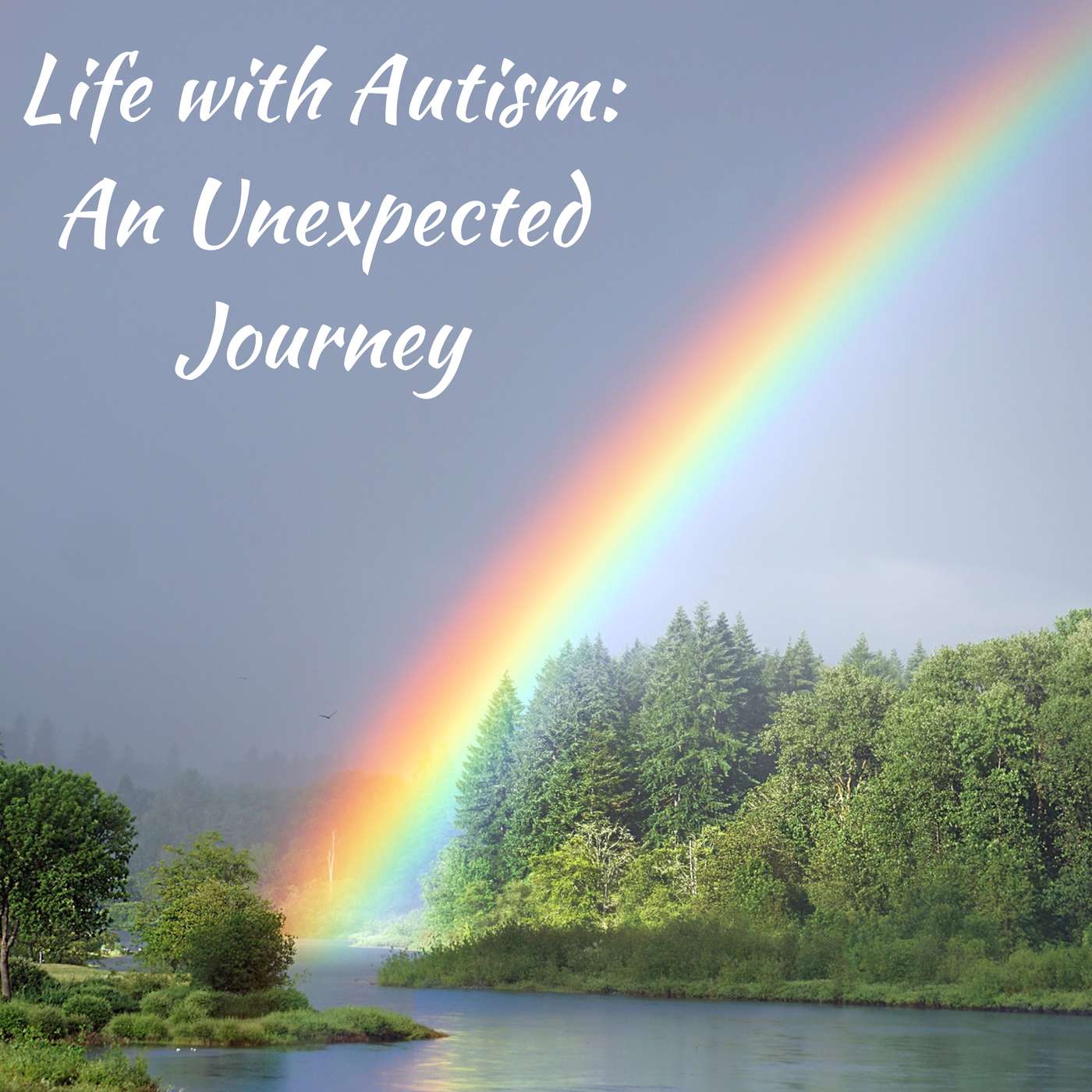 Life with Autism: An Unexpected Journey podcast artwork