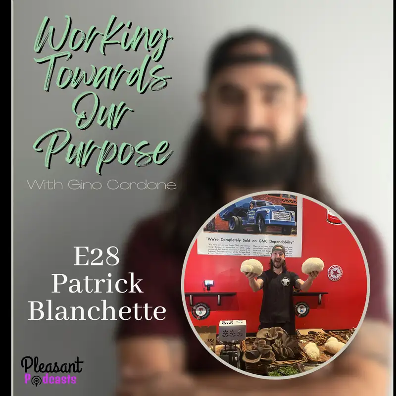How to Optimize Your Brain Health: Using Functional Mushrooms for Focus and Clarity with Patrick Blanchette | E28