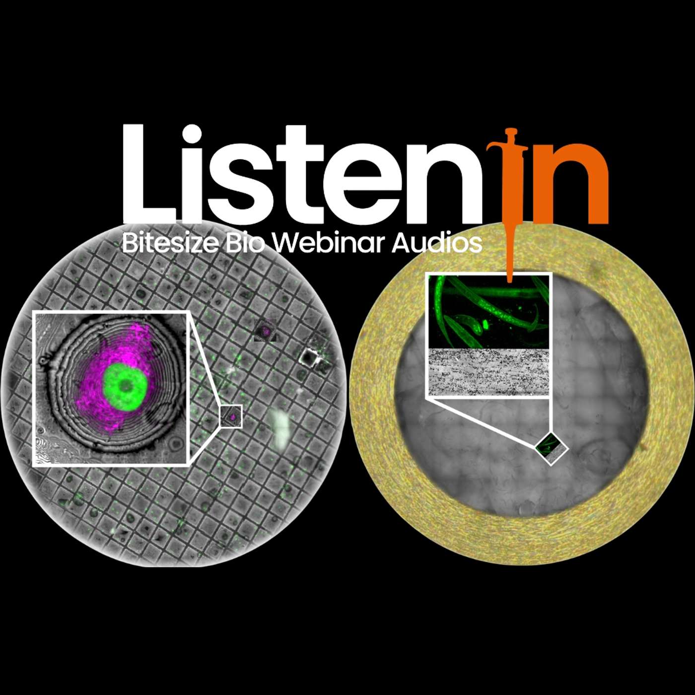 Integrated Solutions for Serial Sectioning and Cryo-EM with UC Enuity Integrated Solutions for Serial Sectioning and Cryo-EM with UC Enuity
