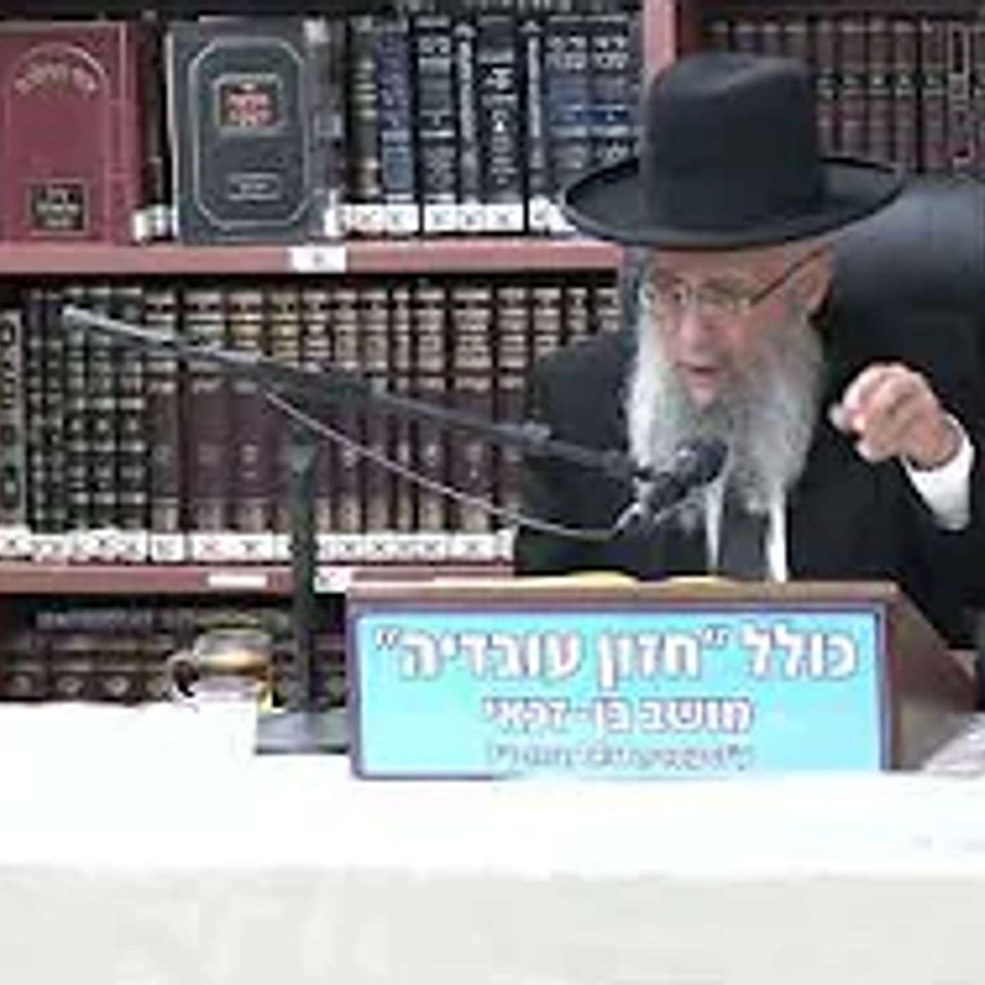 הרב גדעון בן משה :  הלכות שבת .  דין בורר -   גדר תערובת מהי ?