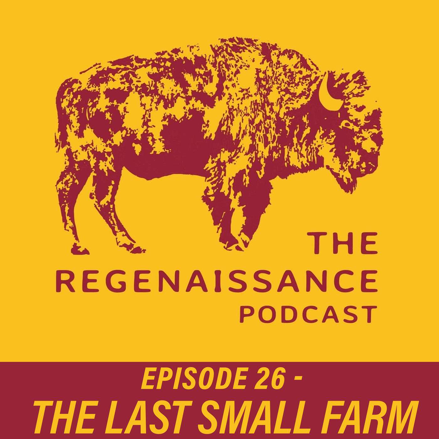 The Regenaissance Podcast