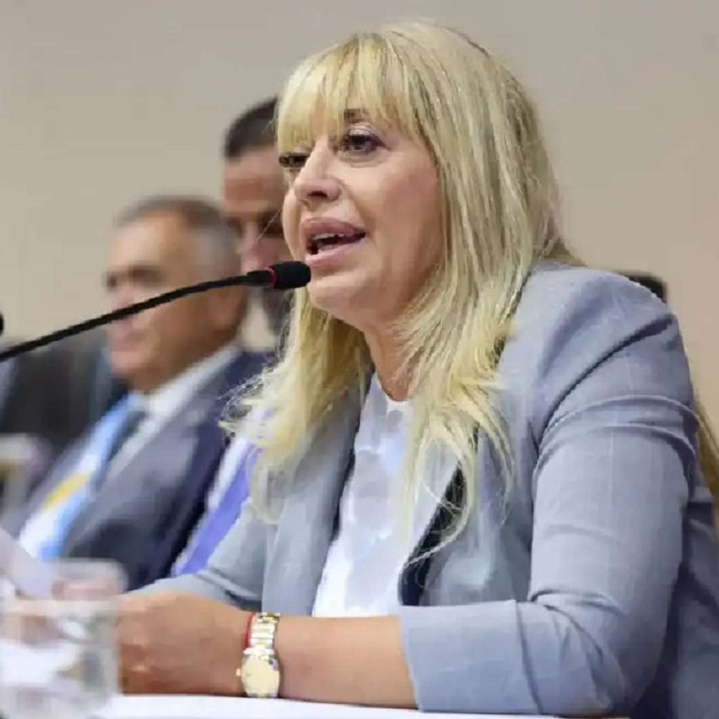 Rossana Chahla, sobre el Tribunal de Faltas: "Trabajan cuatro horas por día"