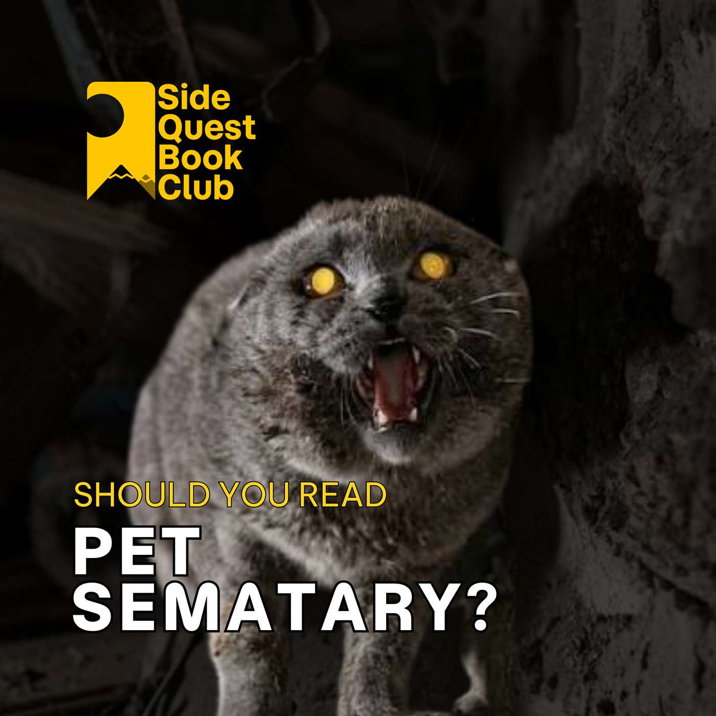 What to know about Stephen King's Pet Sematary before reading it?