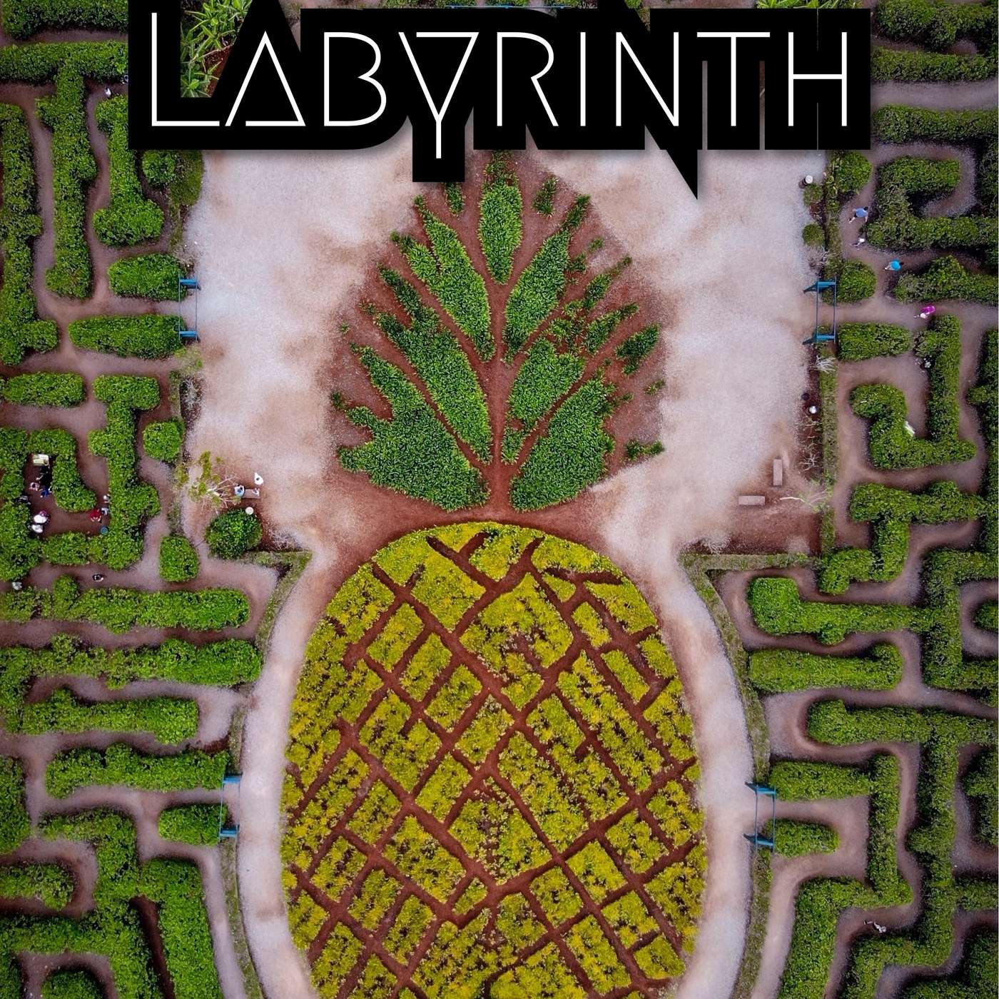 The Labyrinth