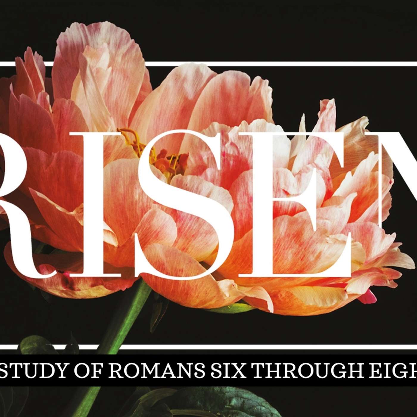 Risen : No Condemnation (4/28/2024) episode artwork