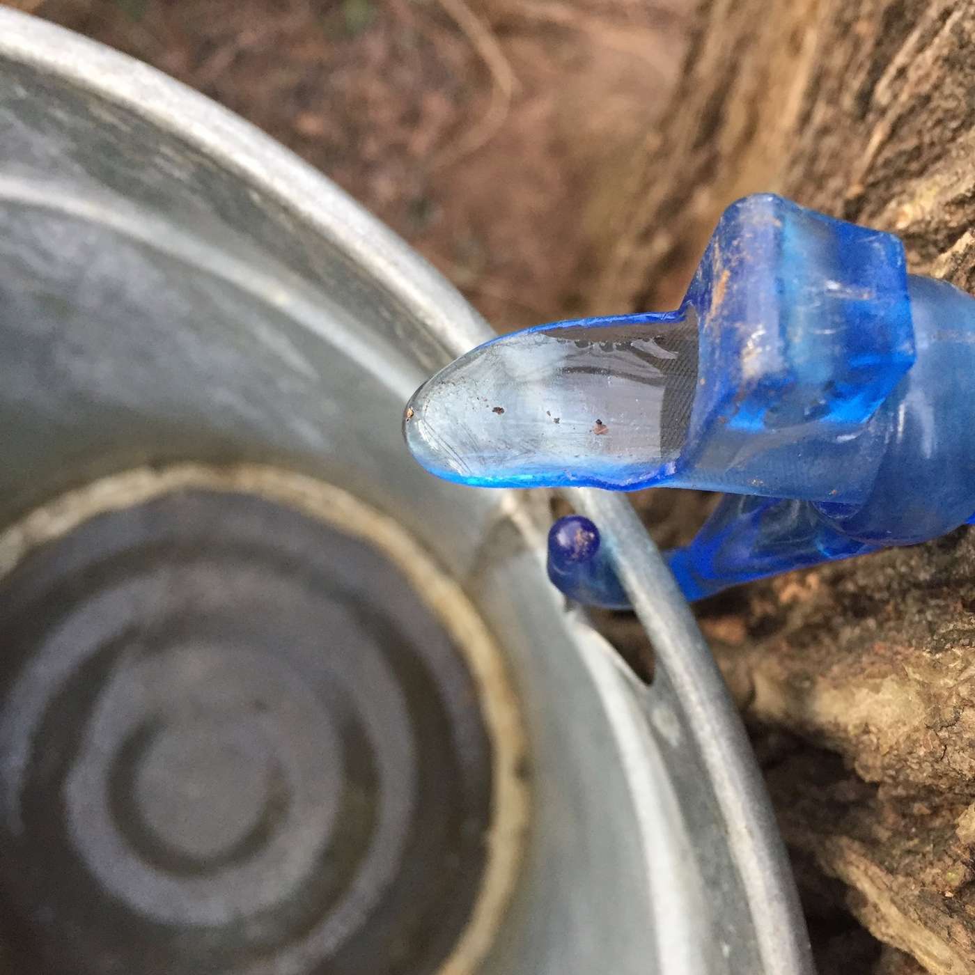 The Table Underground
