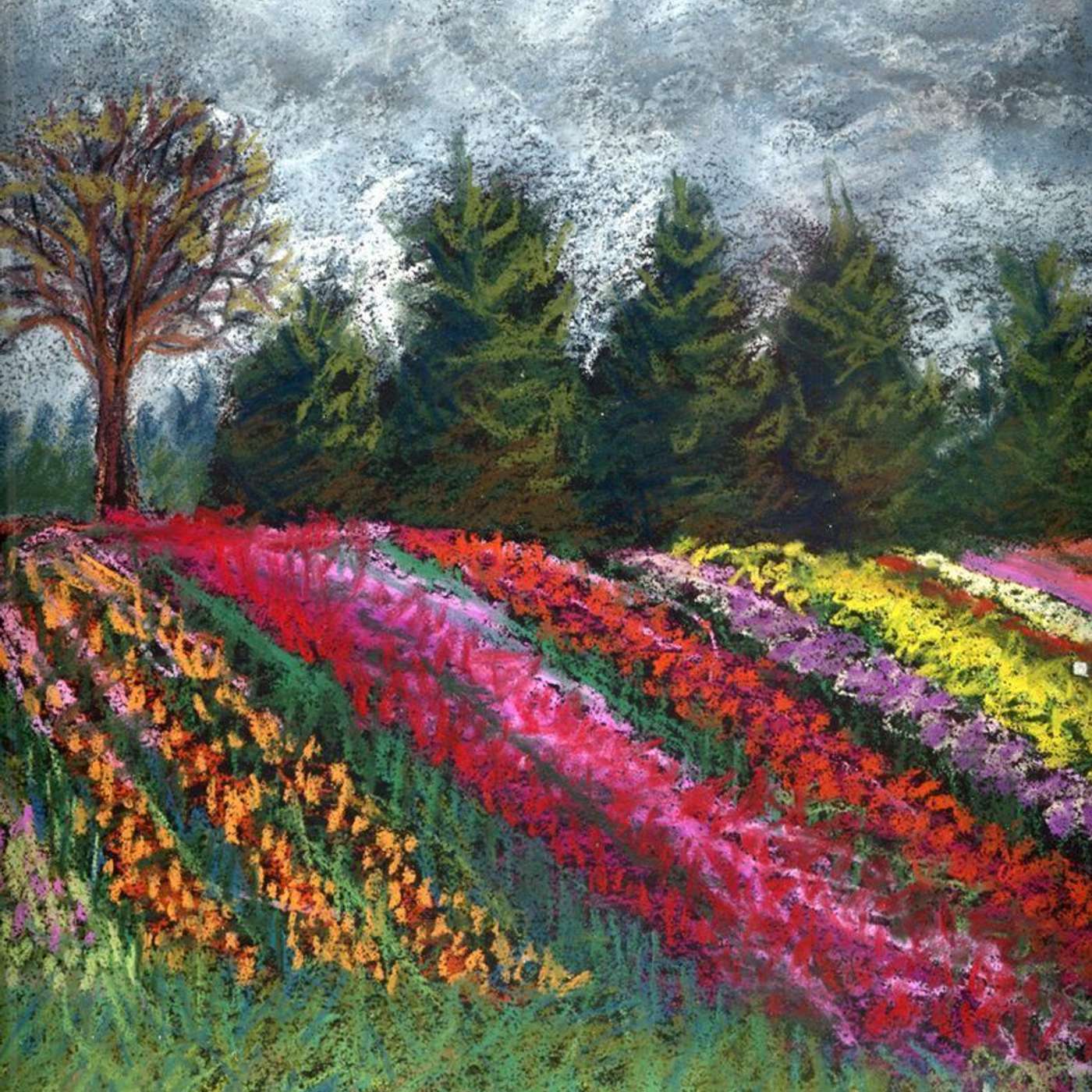 Keeping Oregon Oregon Explores How One Community is Fighting to Keep Its Prime Farm Land episode artwork