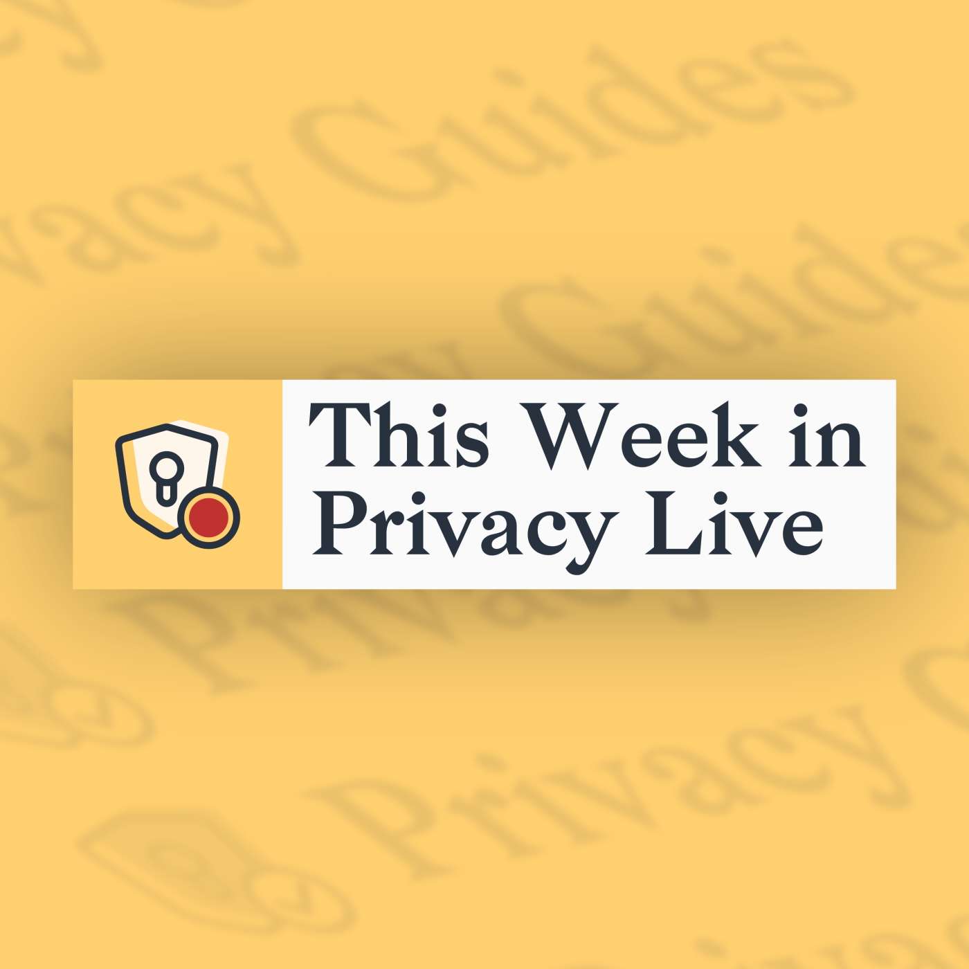This Week in Privacy podcast show image