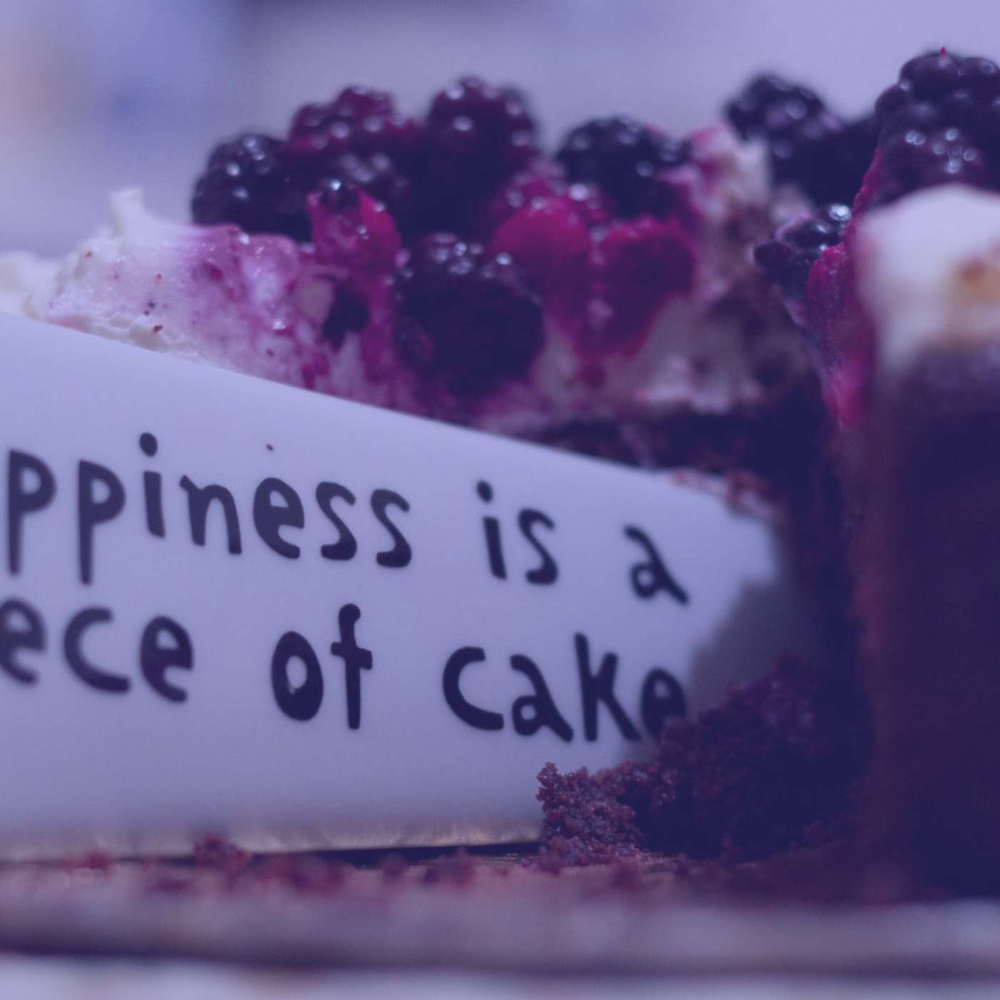 #364 | Do Idioms Really Matter?