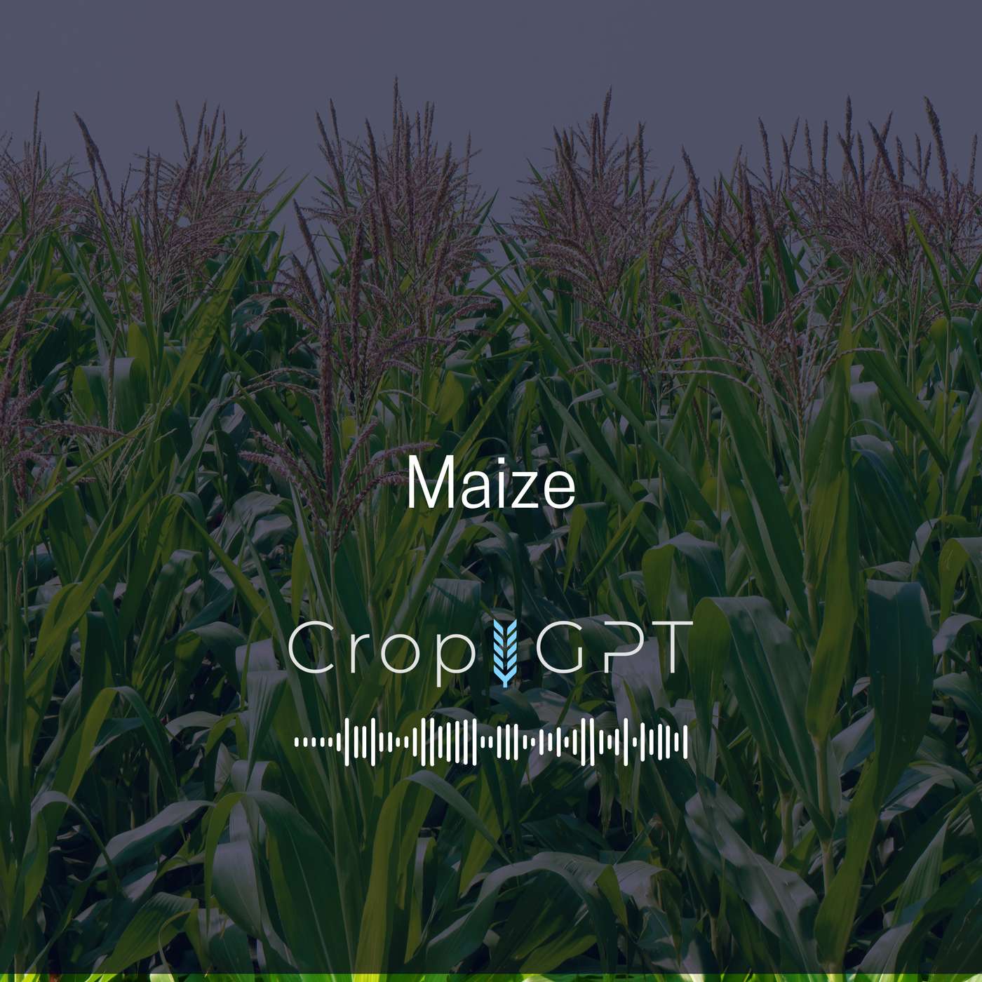 CropGPT - Podcast for Commodities