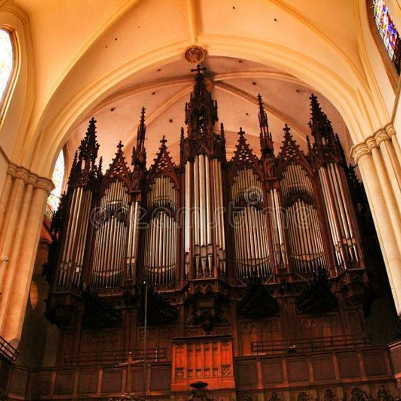 Il Maggio Organistico Presenta .........