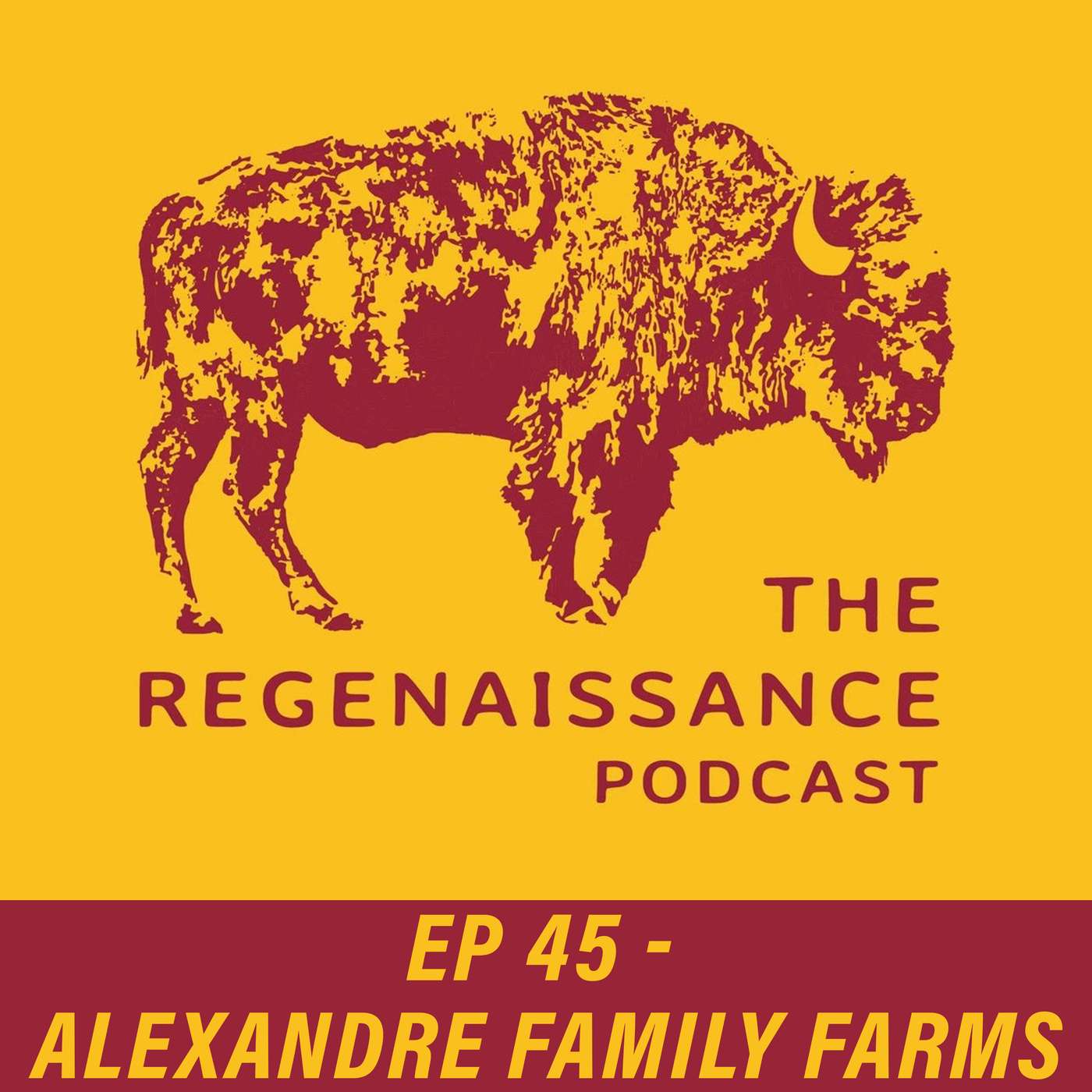 The Regenaissance Podcast