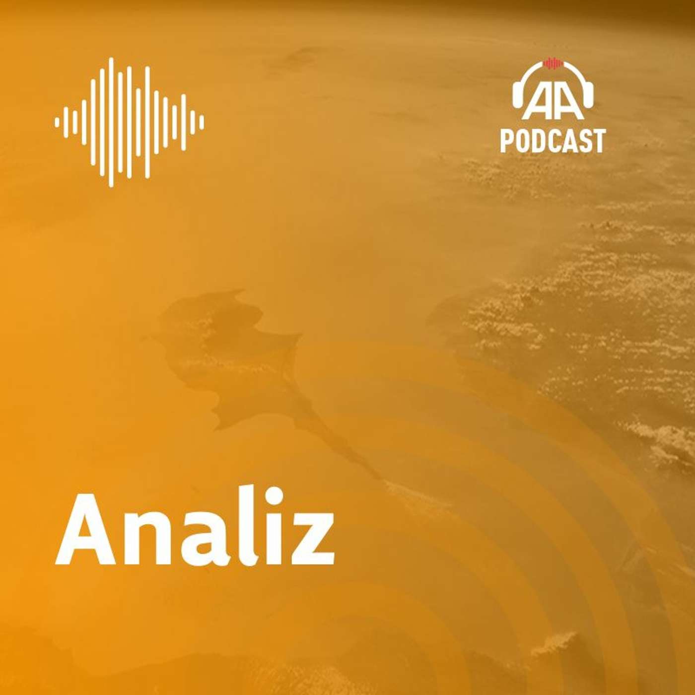 Analiz ve görüşler