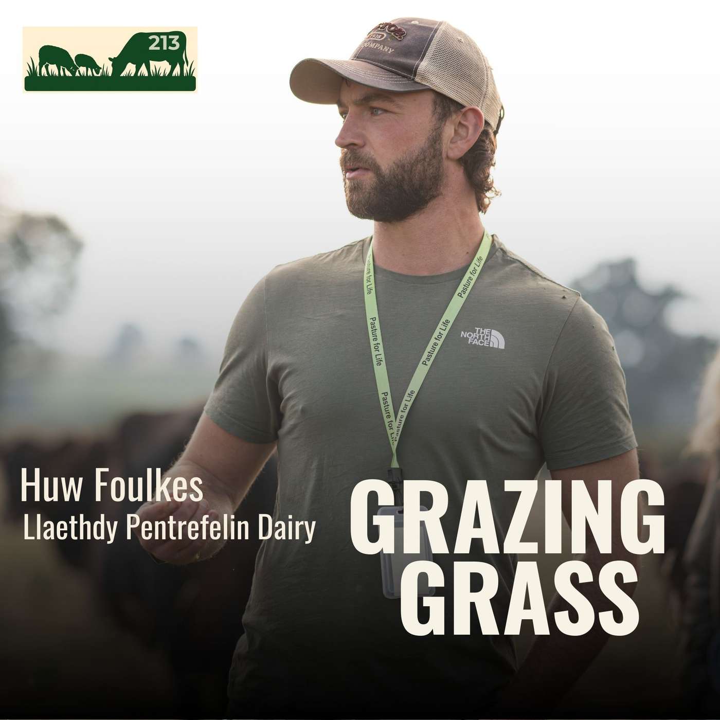 213 | Huw Foulkes, North Wales | Swimming Against the Current: A Micro Dairy with Red Polls and a Case for Regenerative Farming