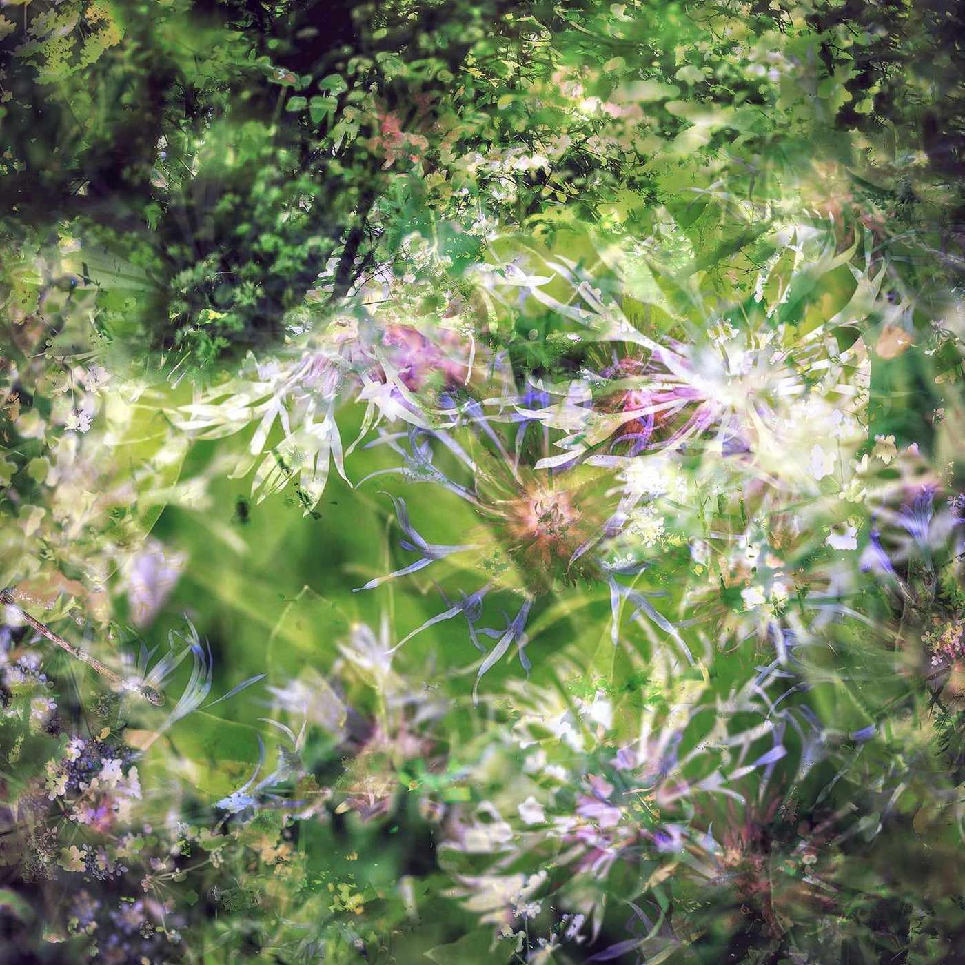 The Ten Thousand Things