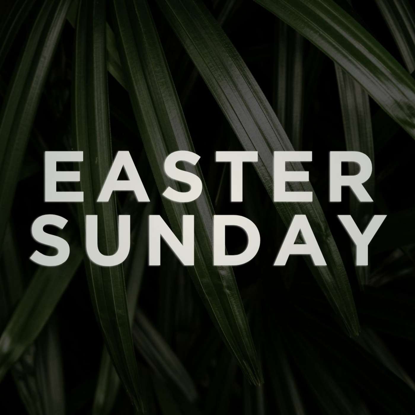 26.04.05 - Easter Sunday episode artwork