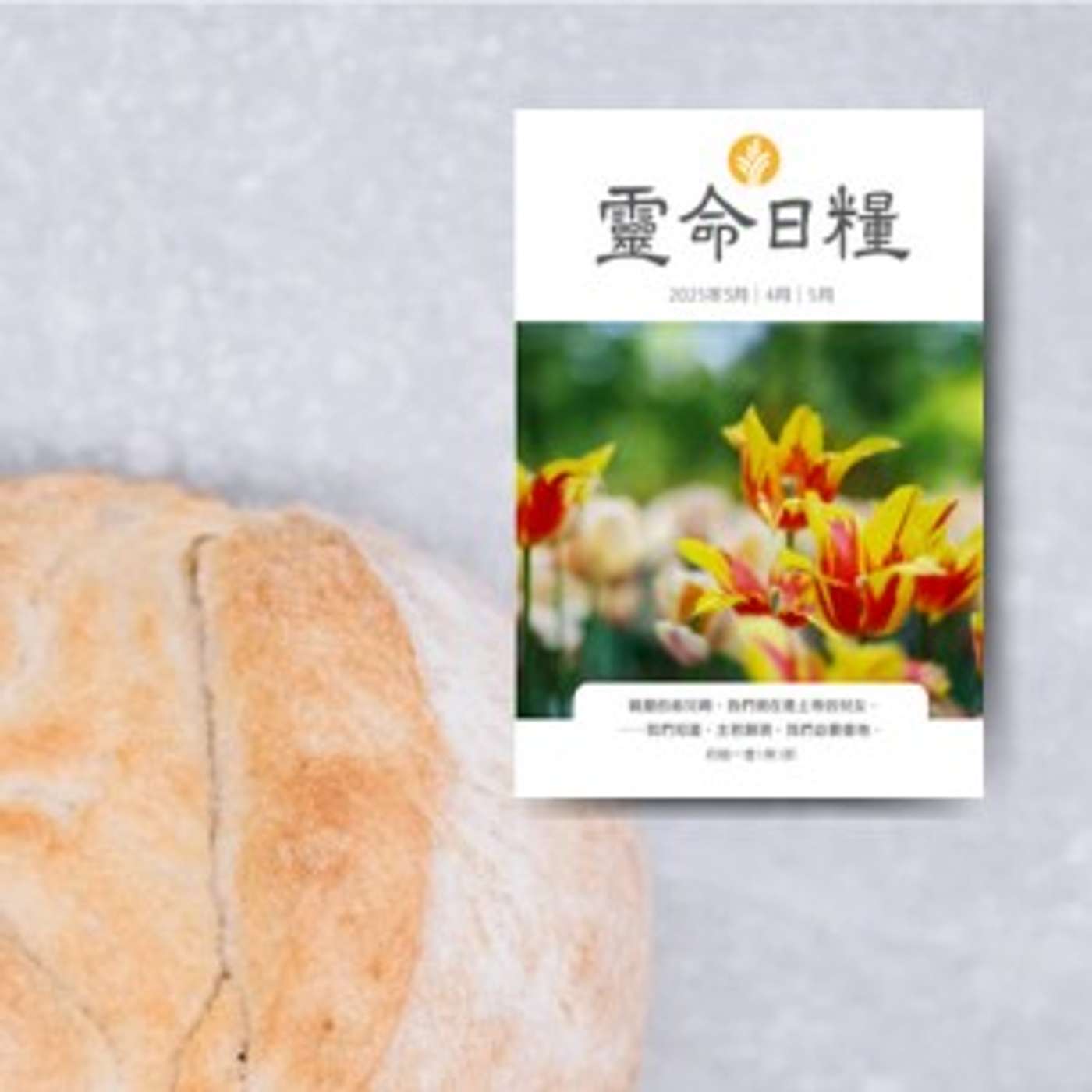 3月22日 永生之道