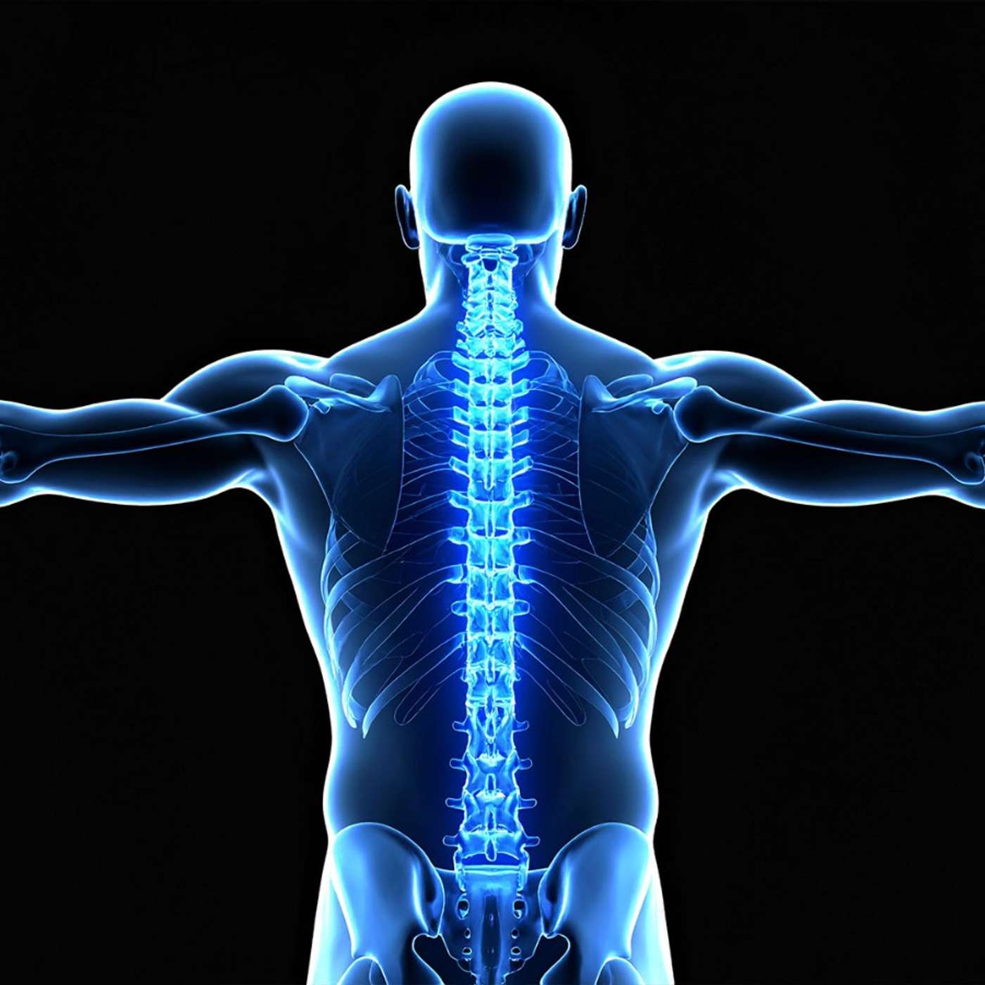 Fat Stem Cells Heal Fractures, Biodegradable Vaccine Fights Implants, Sea Water Reveals Genomics Breakthrough, Catalyst Converts CO2 to Fuel at Low Temp, and more...