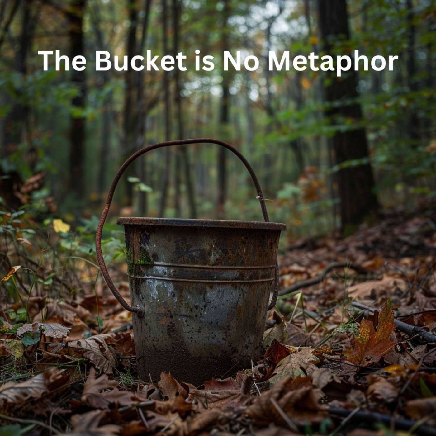 Day 274 – The Bucket is No Metaphor episode artwork