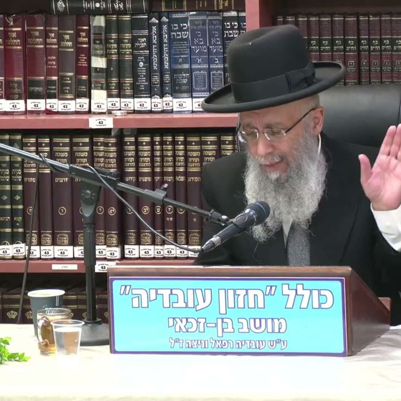 הרב גדעון בן משה  :  תריג מצוות    וכן לרגל הילולת רחל אמנו .