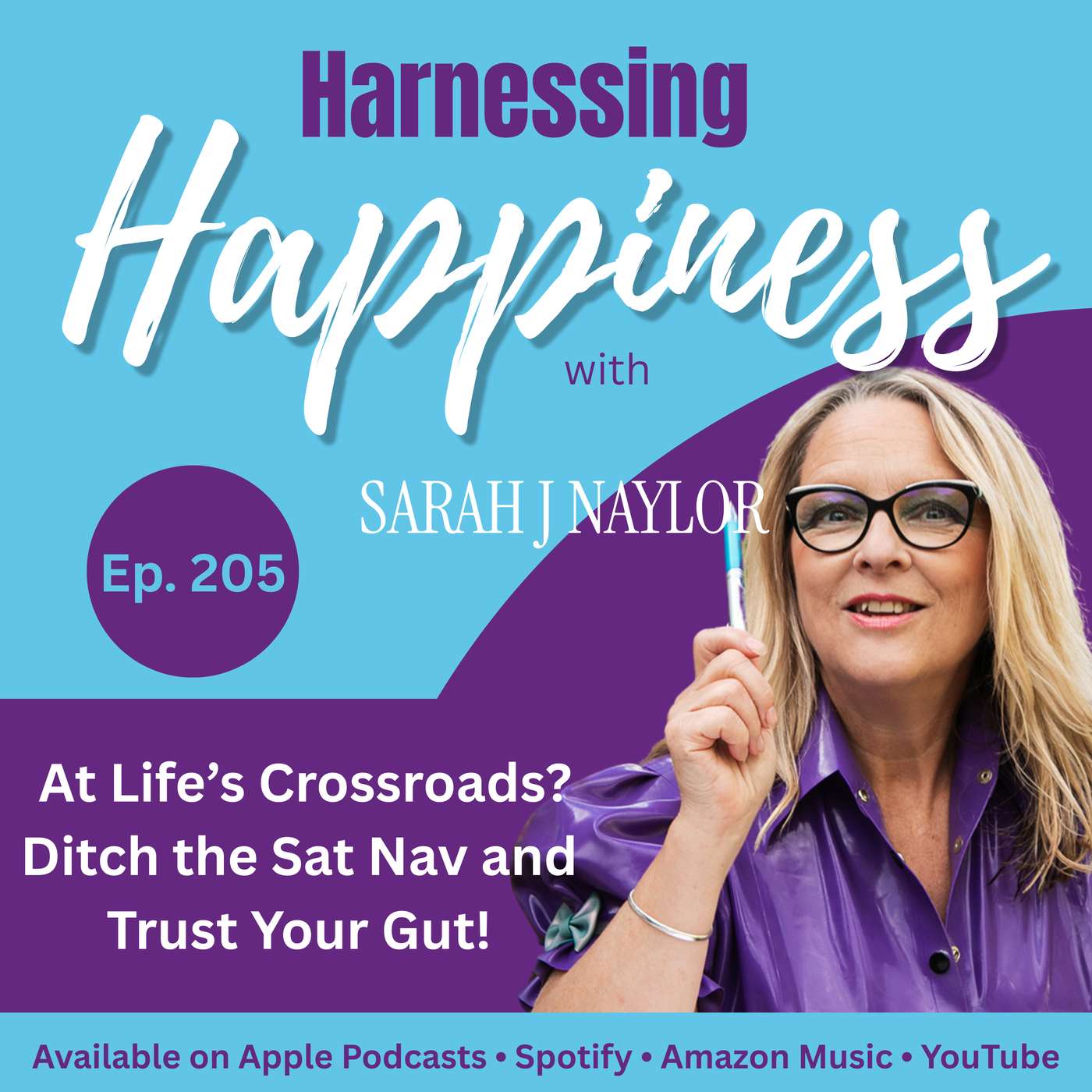 205: At Life’s Crossroads? Ditch the Sat Nav and Trust Your Gut! episode artwork